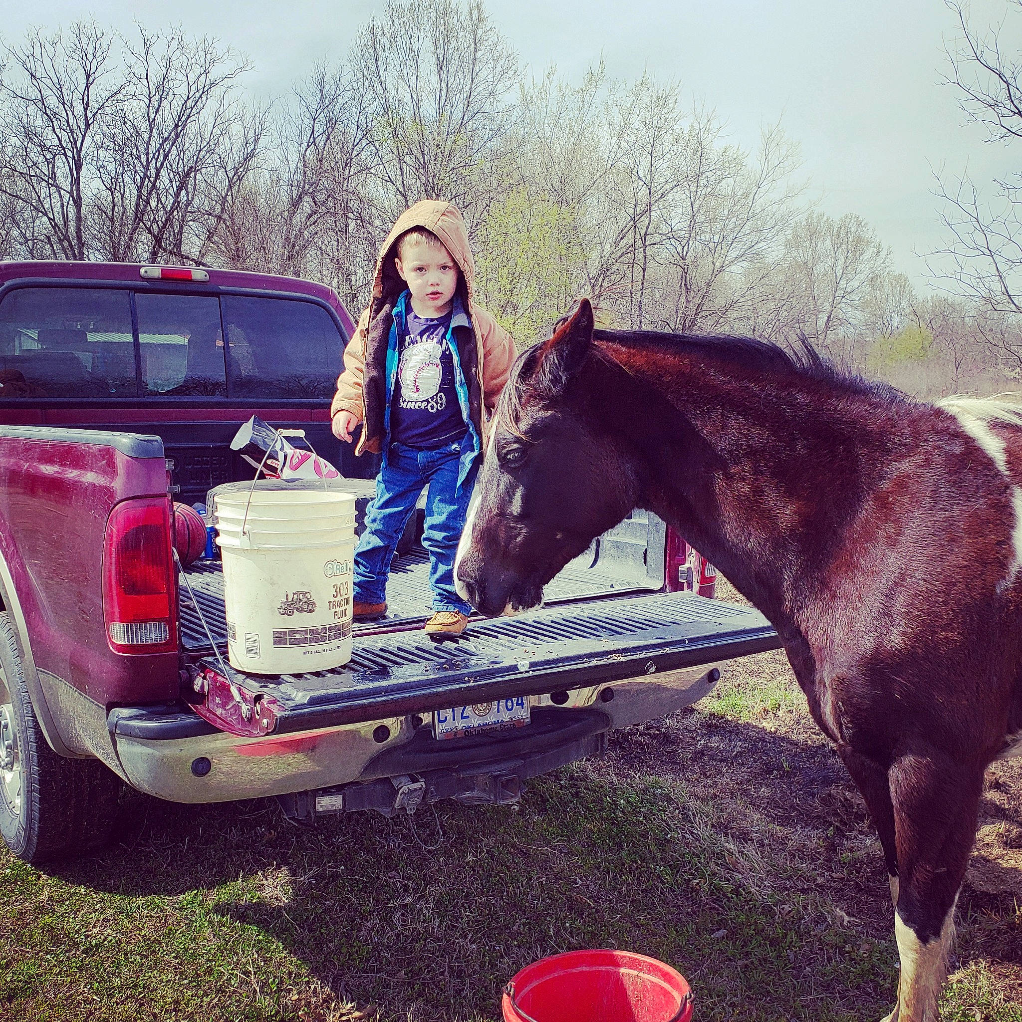 Hurley joined the competition — help win amazing prizes! beauty, bridle, car, cool, equestrianism, headgear, headwear, horse, horse_supplies, horse_tack, jacket, landscape, livestock, mare, outerwear, pack_animal, person, recreation, saddle, sky