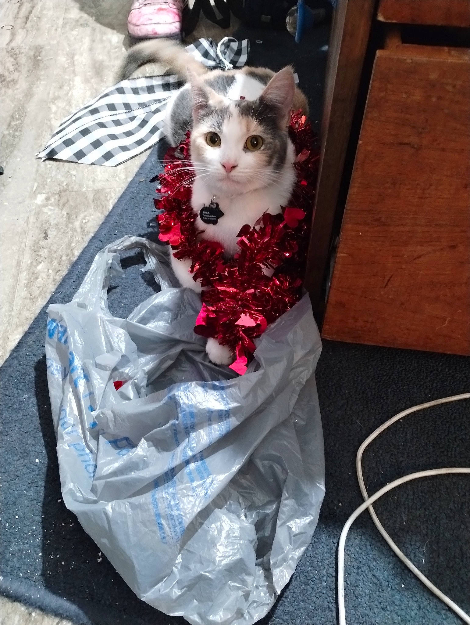 Thea joined the competition — help win amazing prizes! carmine, costume, doll, dress, eyewear, fashion_accessory, fashion_design, felidae, fictional_character, formal_wear, fur, jewellery, magenta, pattern, pink, small_to_medium_sized_cats, tail, toy, waist, whiskers