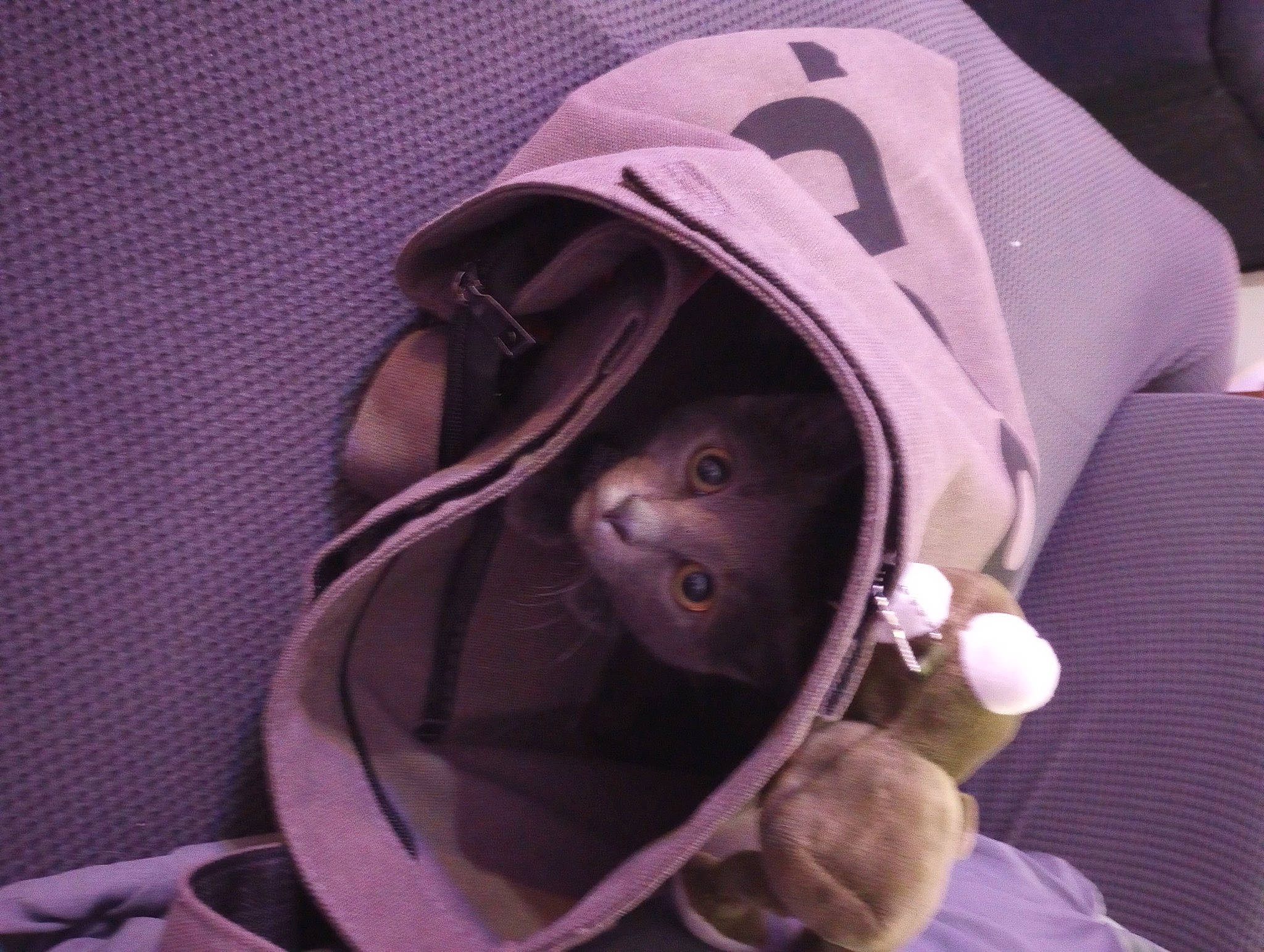 Nyx is registered to the contest to win money with this photo: audio_equipment, baby, baby_carriage, baby_products, baby_toddler_clothing, bag, carmine, comfort, costume_hat, eyewear, fashion_accessory, goggles, hat, linens, magenta, personal_protective_equipment, purple, selfie, sleeve, violet