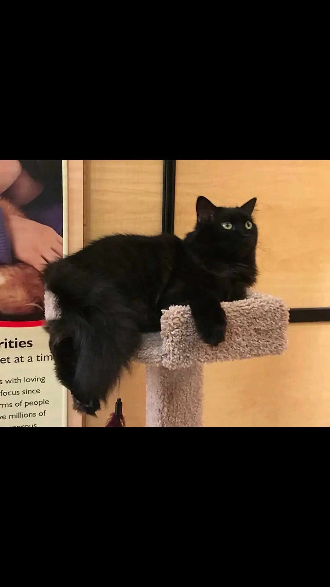 Marley
