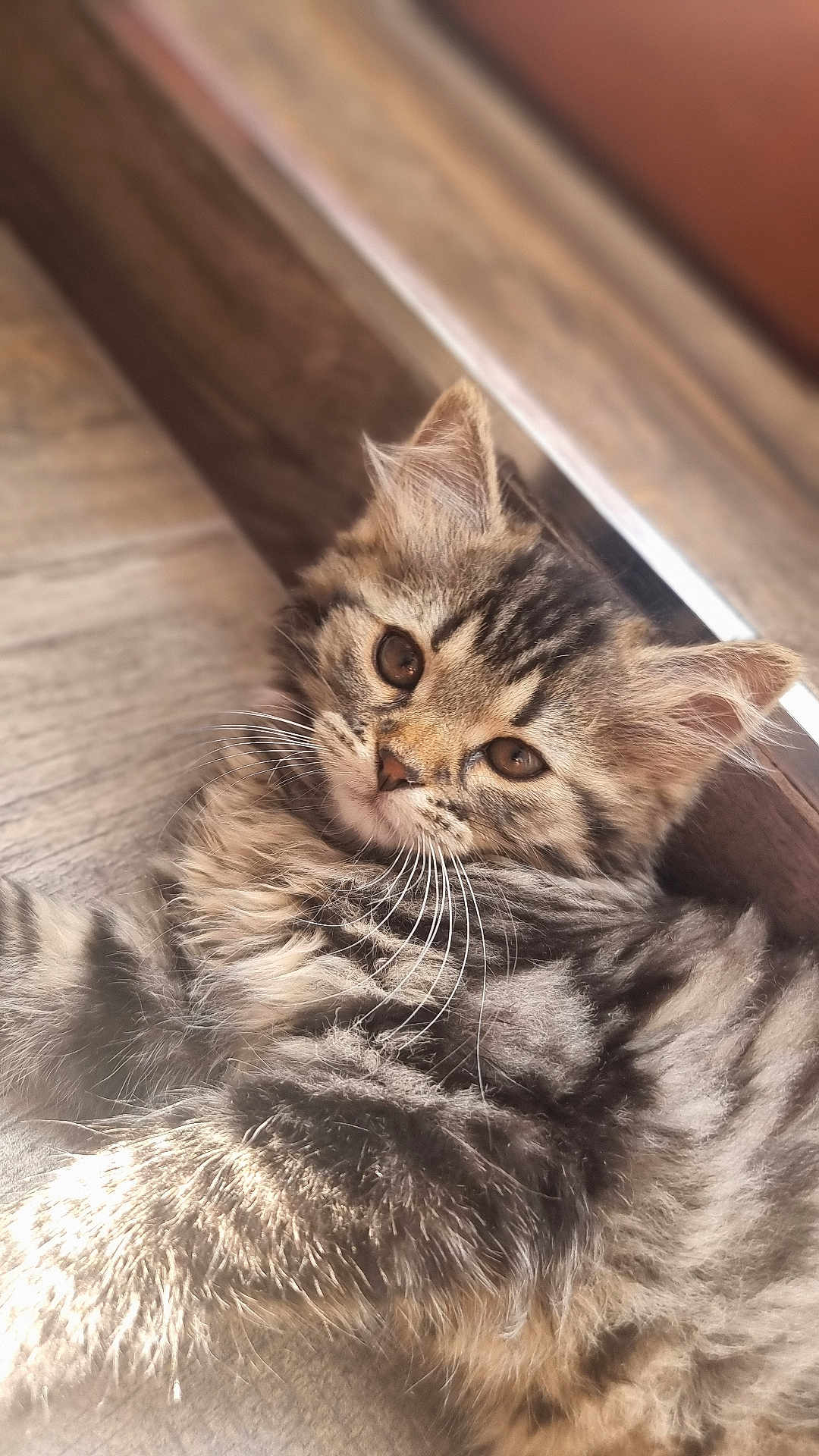 Arya