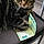 Le Tigre