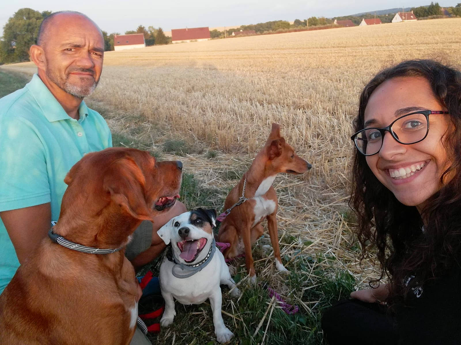 Luna participe au concours pour gagner de l'argent avec cette photo : canidae, carnivore, collar, companion_dog, dog, dog_breed, dog_collar, eyewear, fawn, grass, grassland, happy, landscape, people_in_nature, plant, sky, smile, sporting_group, tree, working_animal
