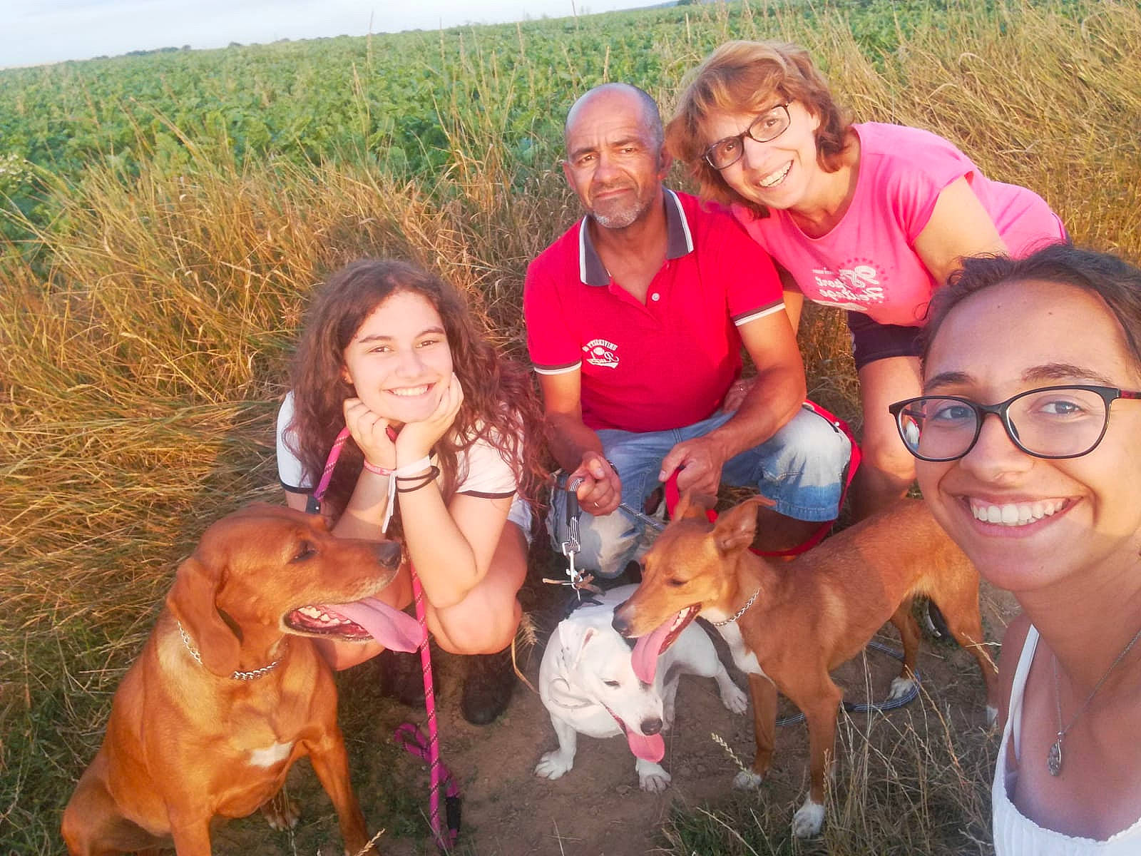 Luna participe au concours pour gagner de l'argent avec cette photo : canidae, carnivore, companion_dog, dog, dog_breed, event, fawn, fun, glasses, grass, happy, landscape, leisure, plant, recreation, sky, smile, sporting_group, sunglasses, wildlife