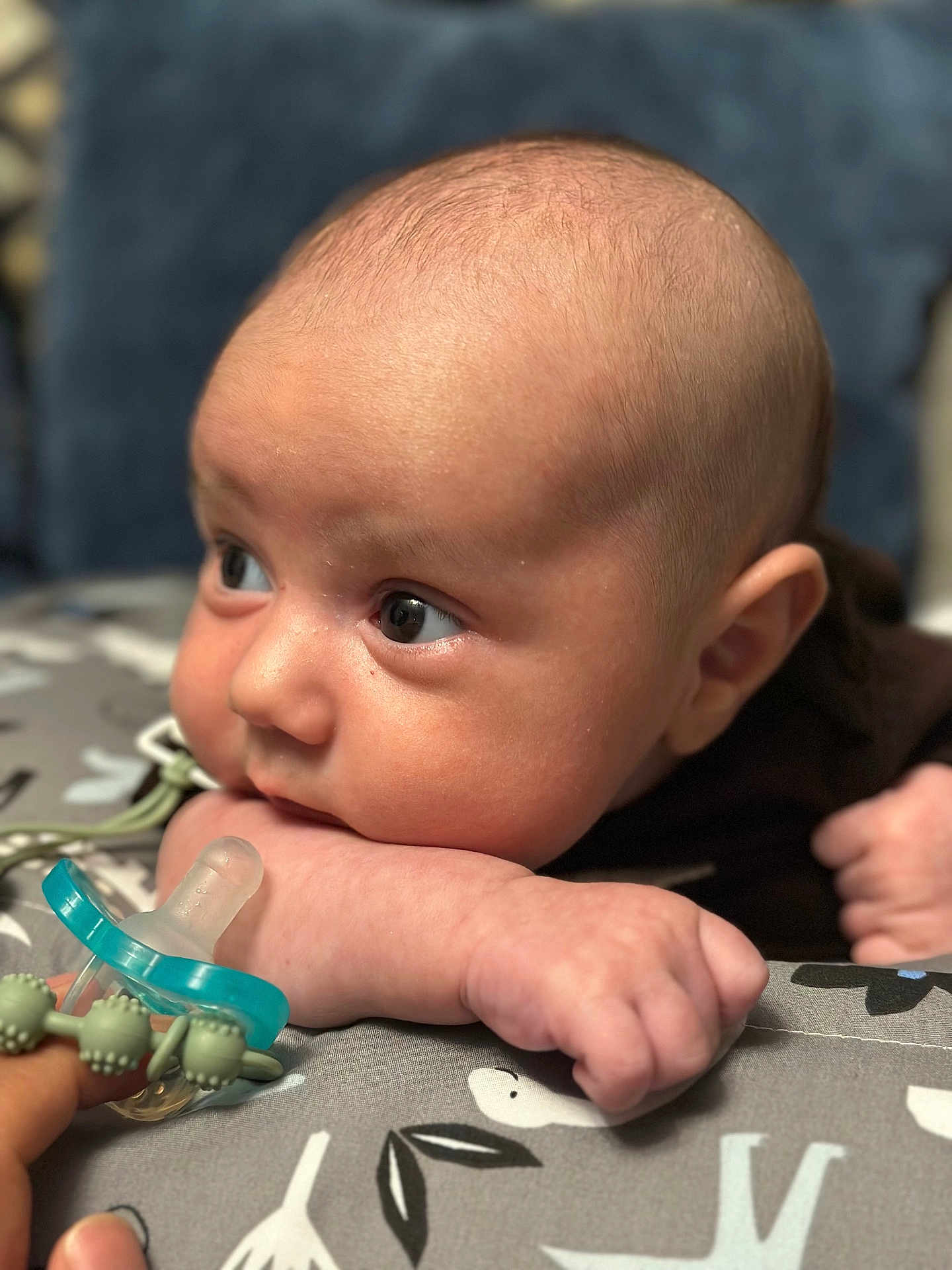 Elias