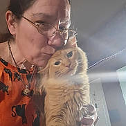 Georgie joined the competition — help win amazing prizes! person, cat, orange_cat, glasses, indoor, affection, cuddling, sweater, long_hair, pet, love, cozy, closeup, fluffy_cat, hand, face, feline, domestic_animal, casual, home