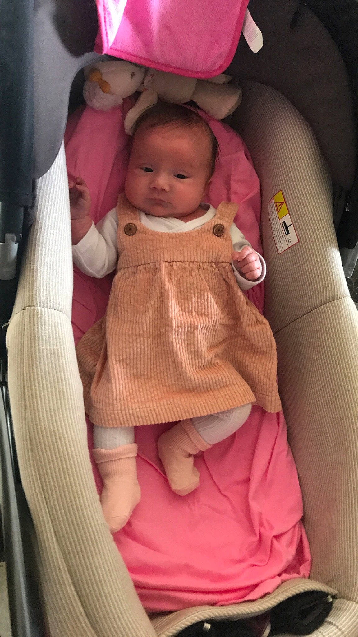 Ambre participe au concours pour gagner de l'argent avec cette photo : arm, baby, baby_carriage, baby_in_car_seat, baby_products, baby_safety, baby_toddler_clothing, car_seat, cheek, child, comfort, infant_bed, linens, mouth, person, pink, product, seat_belt, skin, textile