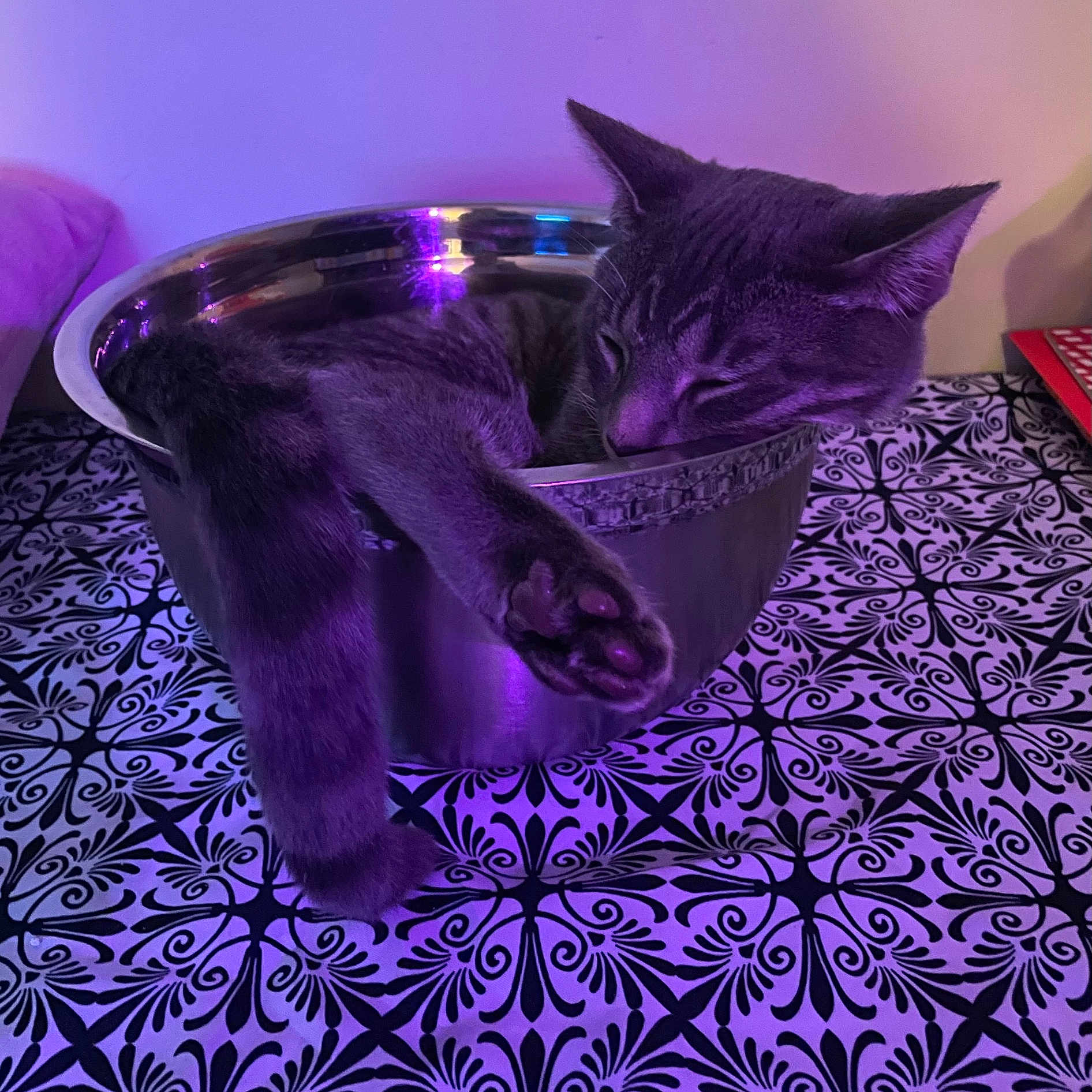 Pepper