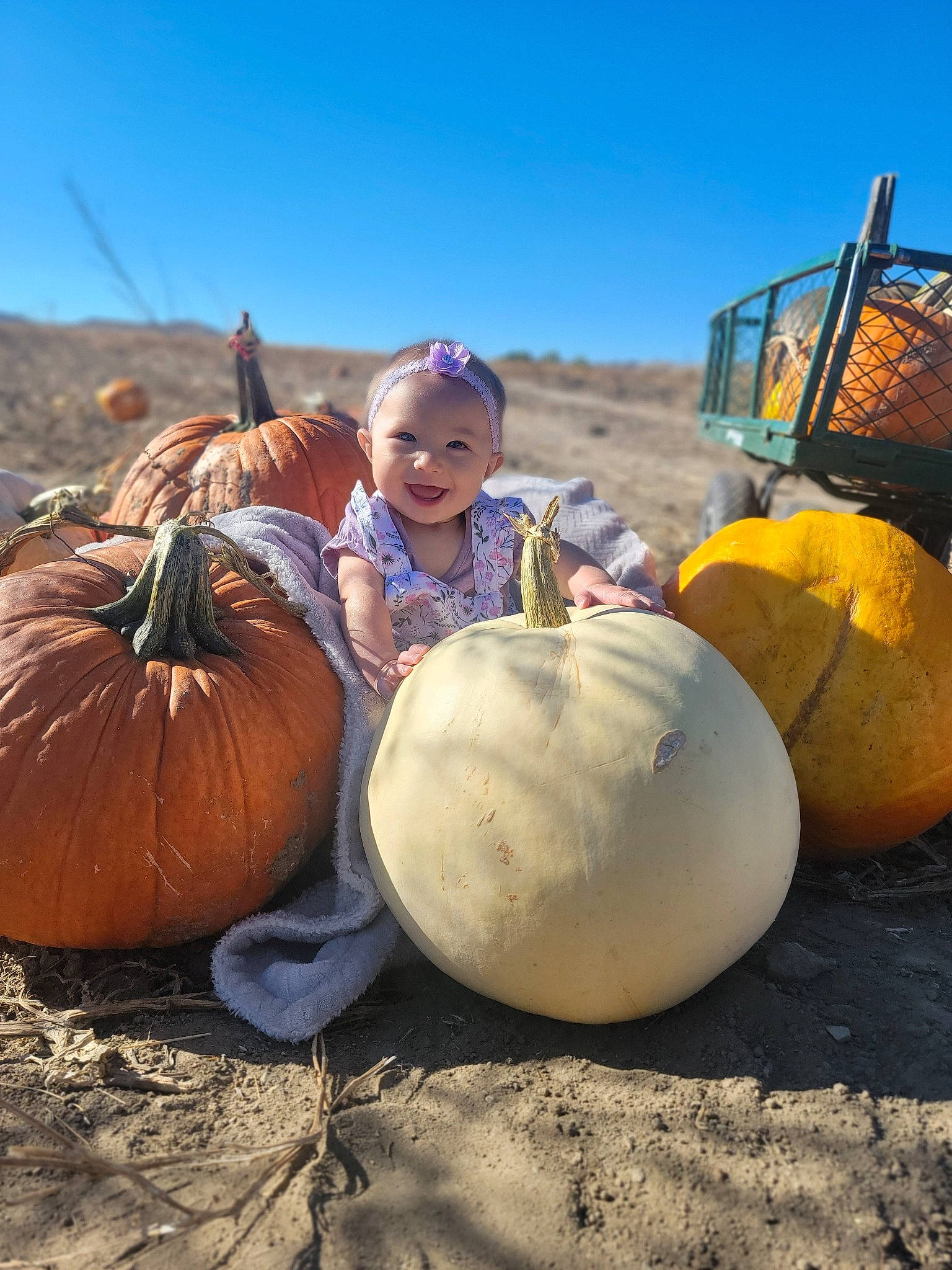 Embrie joined the competition — help win amazing prizes! _and_melon_family, _gourd, calabaza, cucumber, cucurbita, ecoregion, fun, gourd, headwear, joy, landscape, local_food, natural_foods, person, plant, pumpkin, rock, sitting, sky, smile
