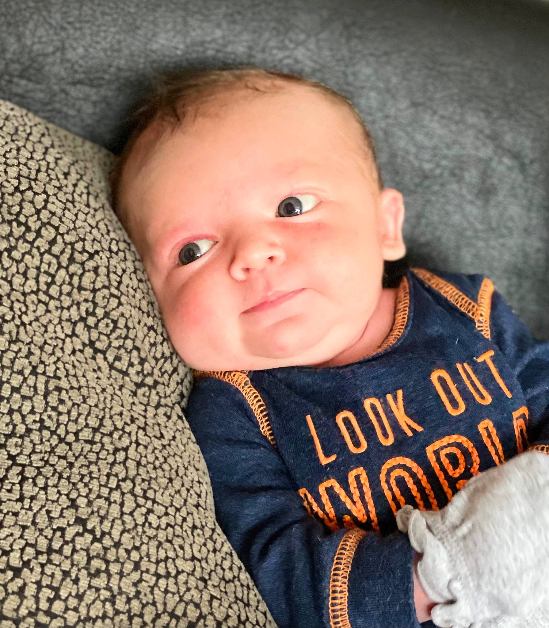 Ganon joined the competition — help win amazing prizes! baby, baby_products, baby_toddler_clothing, cheek, child, chin, comfort, fur, happy, iris, linens, neck, nose, person, portrait_photography, sitting, skin, sleeve, t_shirt, toddler