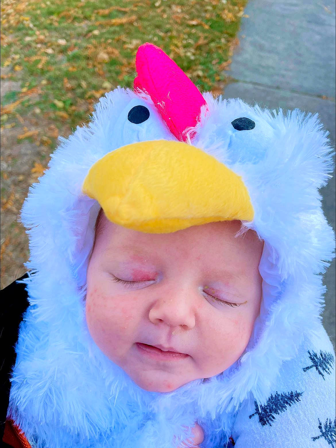 Ganon joined the competition — help win amazing prizes! baby, baby_products, baby_toddler_clothing, beak, bird, cap, child, costume_hat, fur_clothing, happy, headgear, headwear, organ, person, phasianidae, pink, poultry, skin, textile, toddler