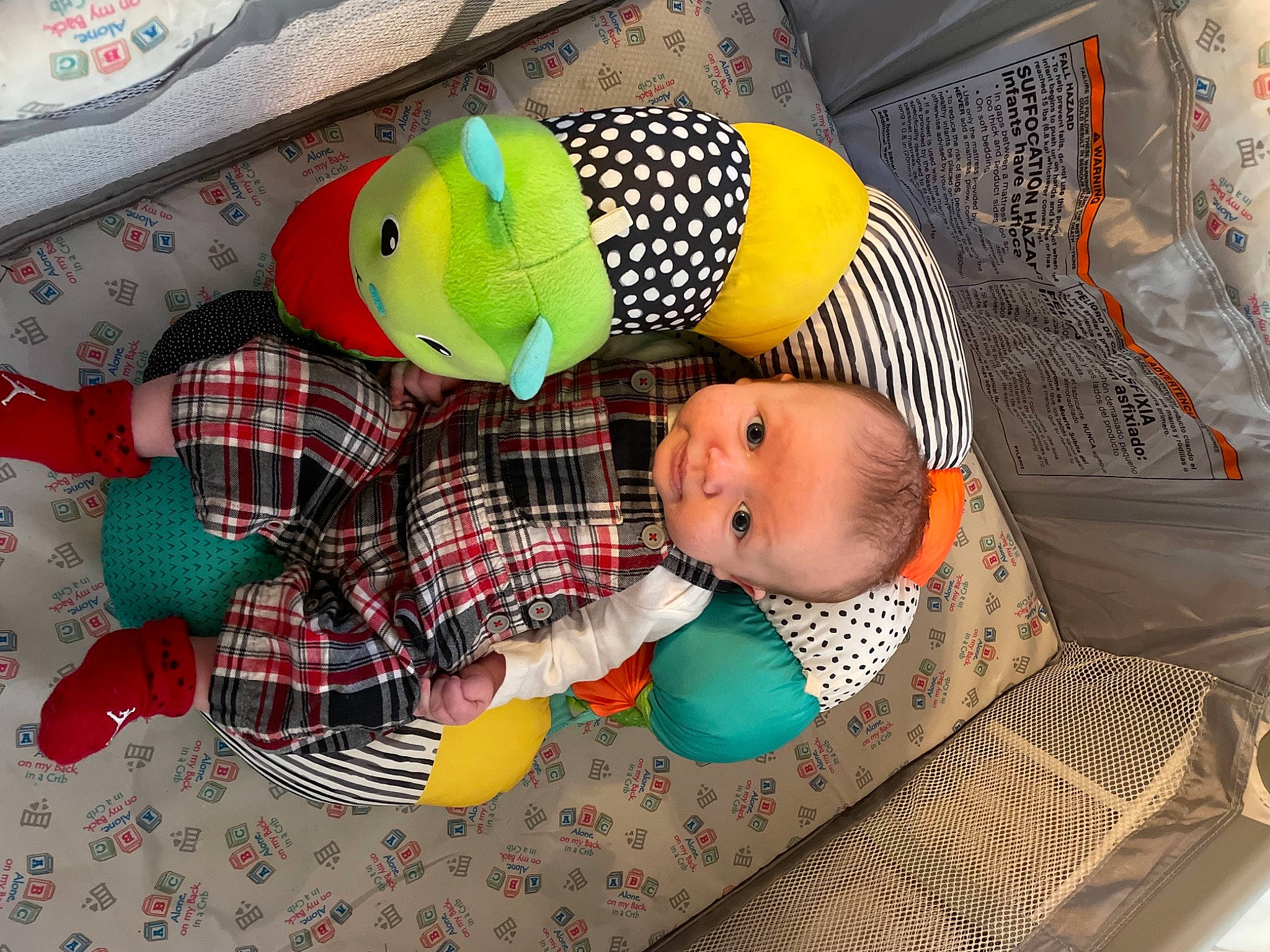 Ganon is registered to the contest to win money with this photo: baby, baby_products, baby_safety, baby_sleeping, baby_toddler_clothing, baby_toys, child, comfort, green, head, infant_bed, linens, pattern, person, plaid, plush, room, stuffed_toy, textile, toddler