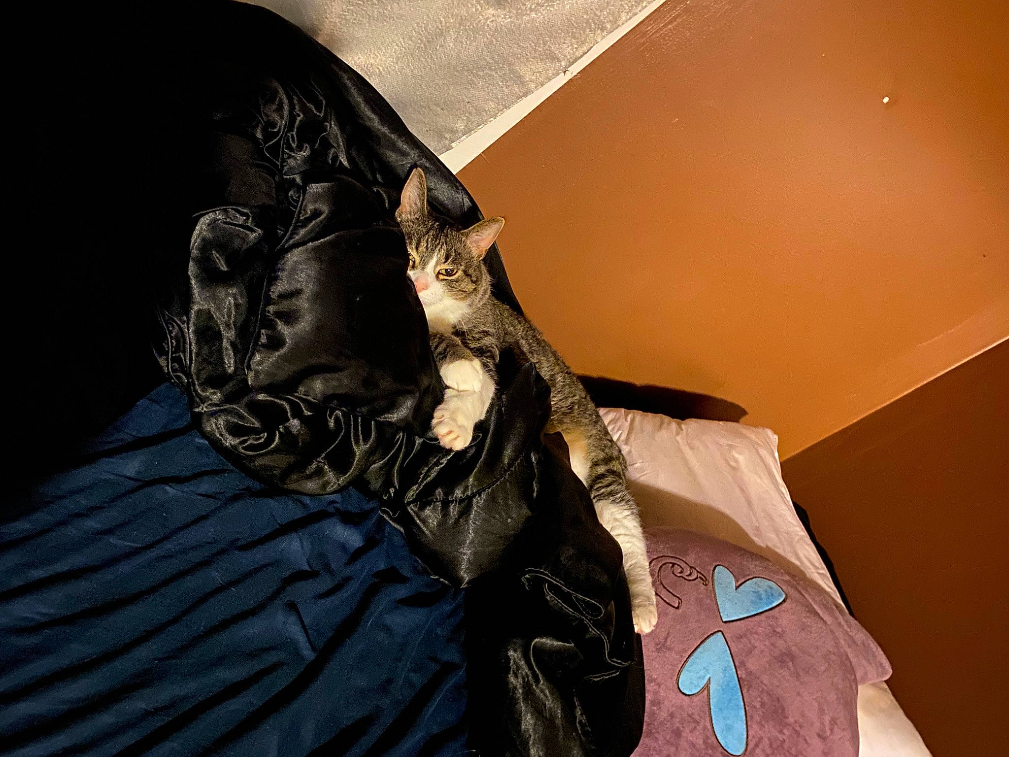 Charles joined the competition — help win amazing prizes! art, artifact, bed, ceiling, costume_design, fashion_accessory, fashion_design, fictional_character, hat, pattern, religious_item, room, sleeve, symbol, t_shirt, tints_and_shades, visual_arts, wood