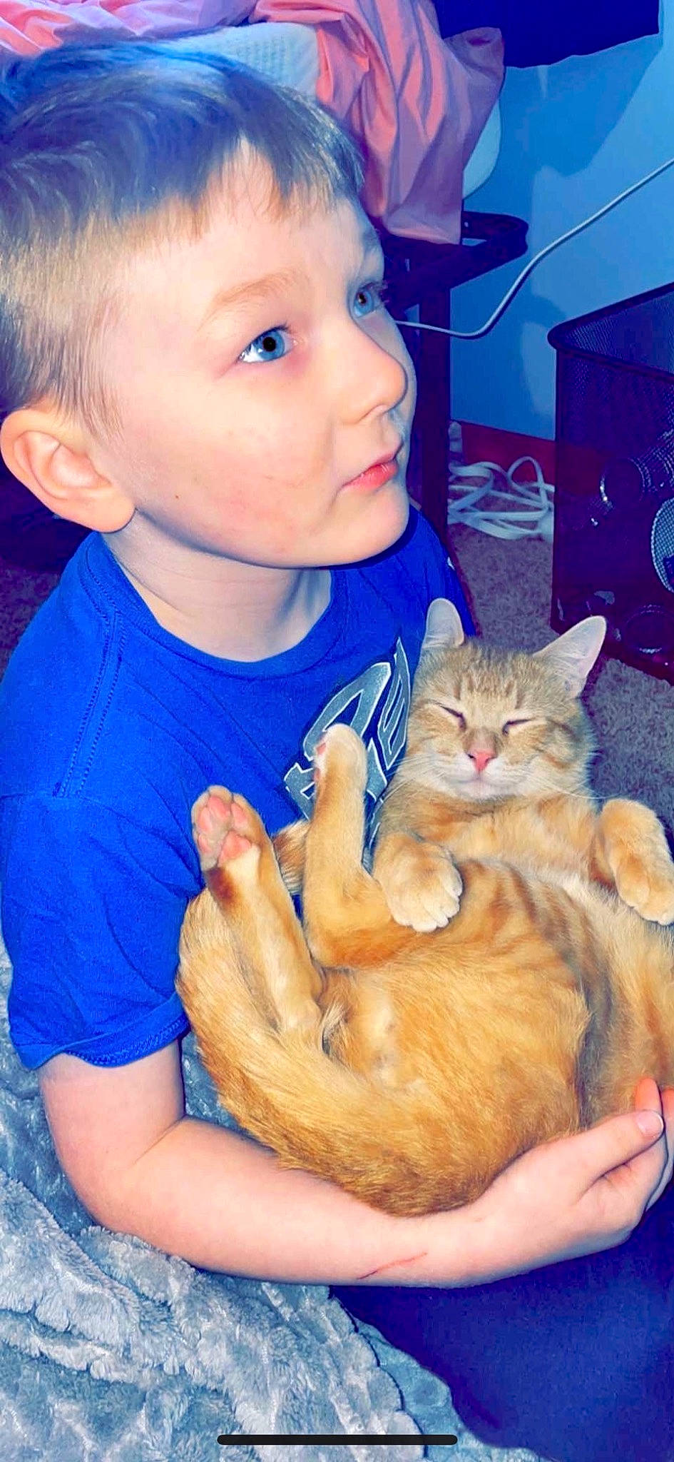 Charmander joined the competition — help win amazing prizes! blue, carnivore, cat, child, comfort, domestic_short_haired_cat, electric_blue, fawn, felidae, fur, gesture, happy, lap, nail, organ, sitting, small_to_medium_sized_cats, t_shirt, toddler, whiskers