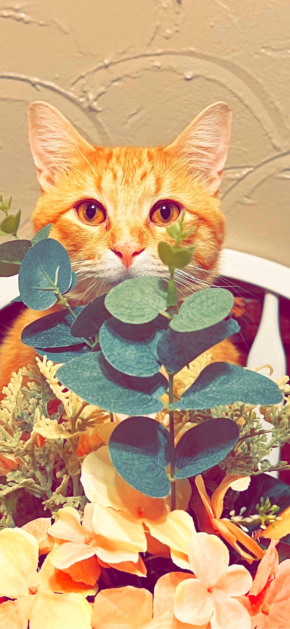 Charmander joined the competition — help win amazing prizes! annual_plant, art, carnivore, cat, creative_arts, domestic_short_haired_cat, fawn, felidae, fur, illustration, paint, pattern, room, small_to_medium_sized_cats, snout, tail, textile, visual_arts, whiskers