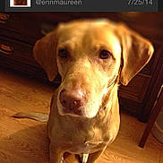 Lilly Davis is registered to the contest to win money with this photo: