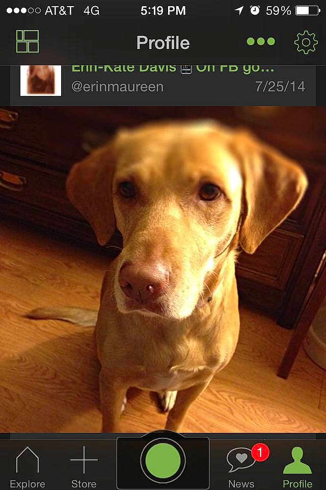 Lilly Davis is registered to the contest to win money with this photo: