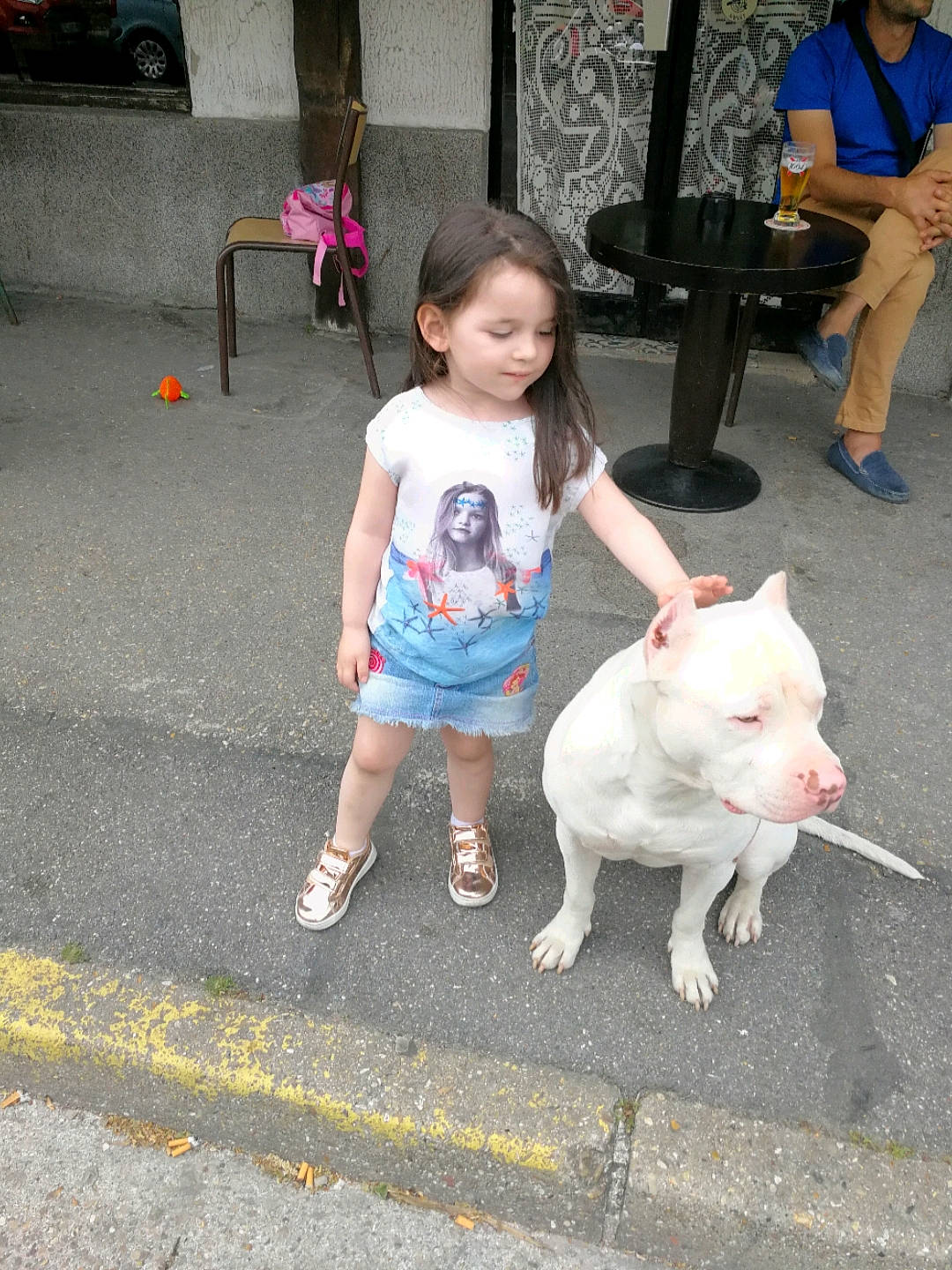 Cristal a rejoint le concours — aidez-le/la à gagner de superbes lots ! asphalt, carnivore, chair, companion_dog, dog_breed, fawn, foot, human_leg, leg, leisure, livestock, person, road_surface, sandal, shoe, shorts, sidewalk, snout, t_shirt, tail