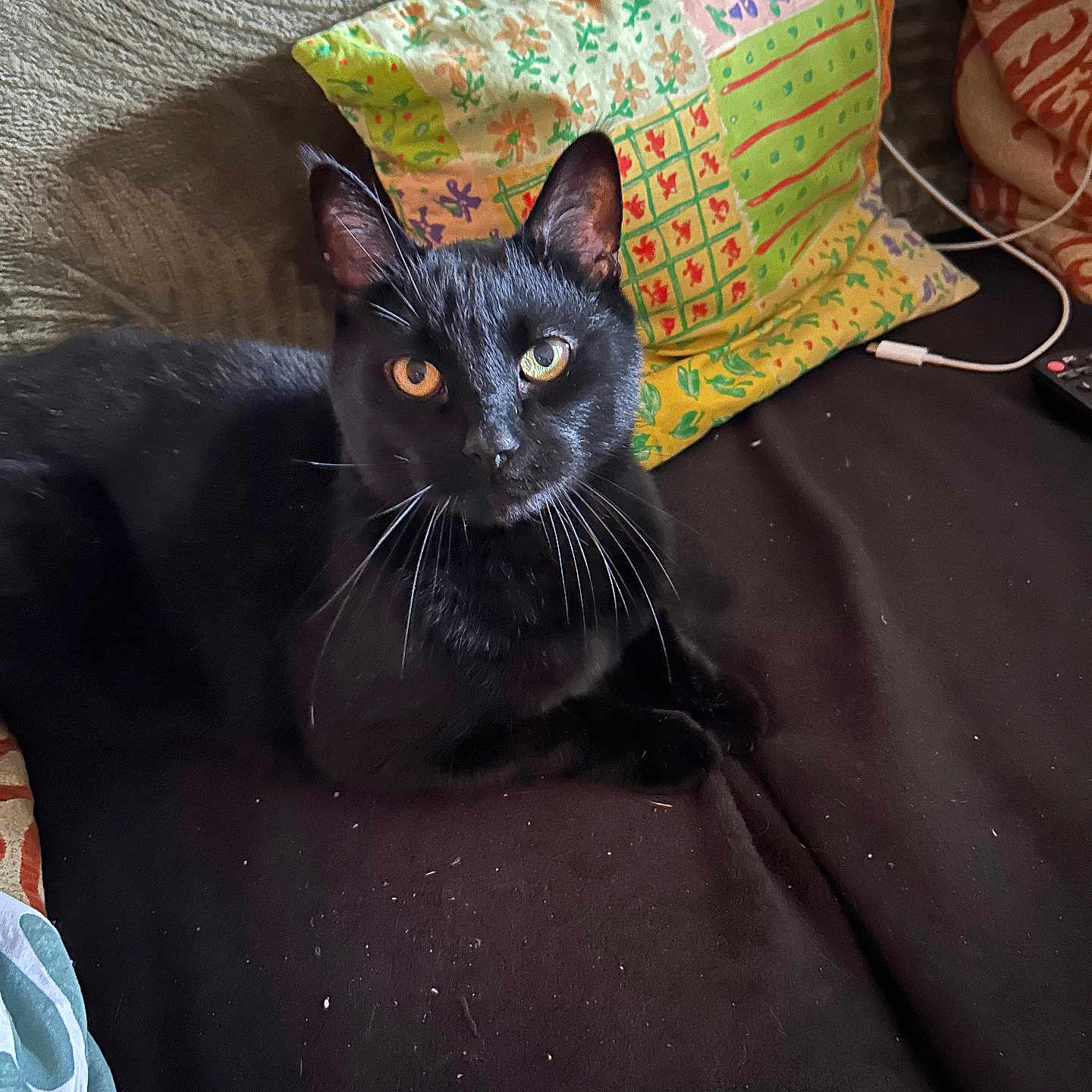 Khiera