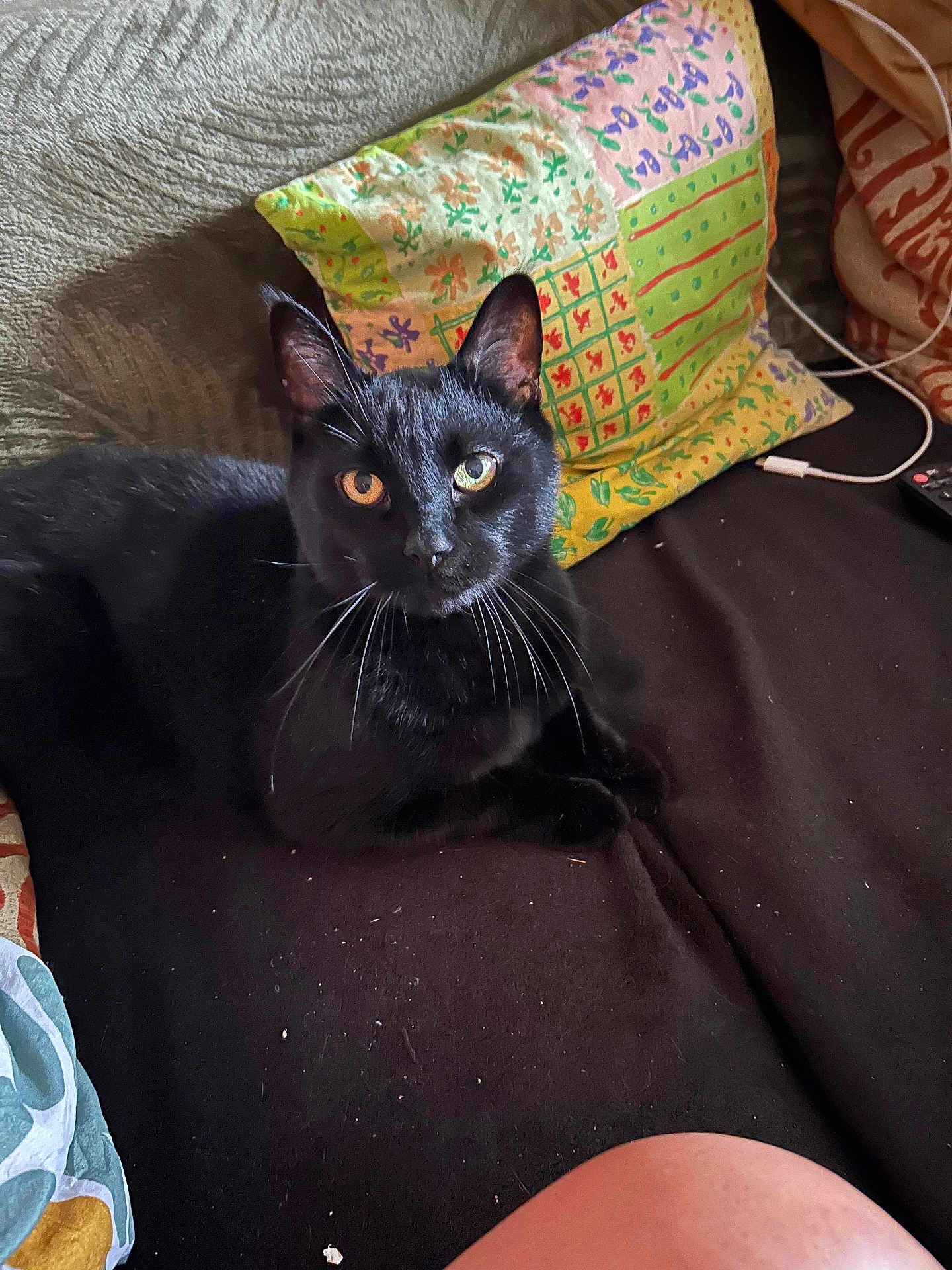 Khiera