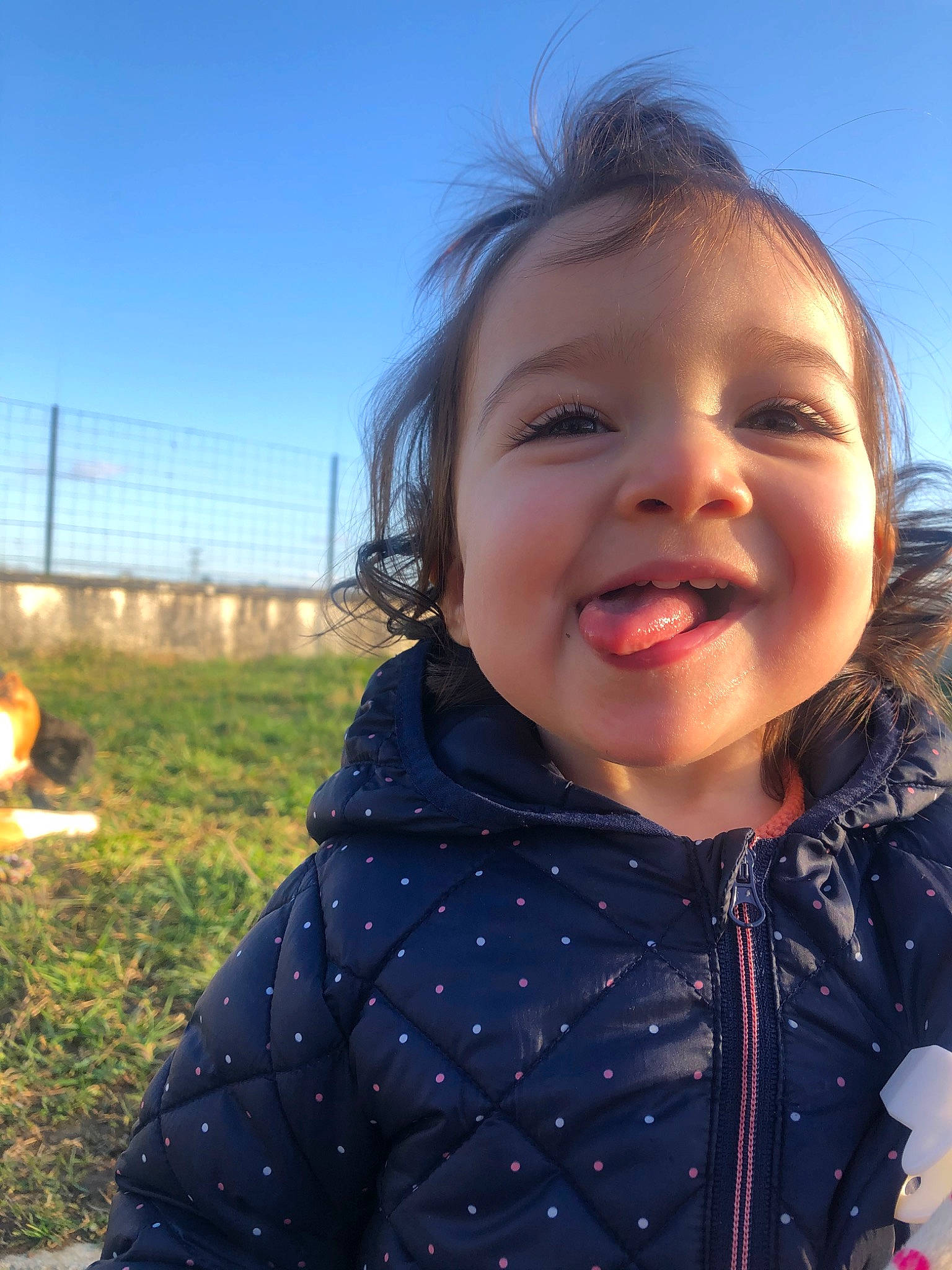 Lynn a rejoint le concours — aidez-le/la à gagner de superbes lots ! cheek, child, chin, face, facial_expression, forehead, fun, grass, happy, head, joy, leaf, mouth, nose, organ, people, person, skin, sky, smile