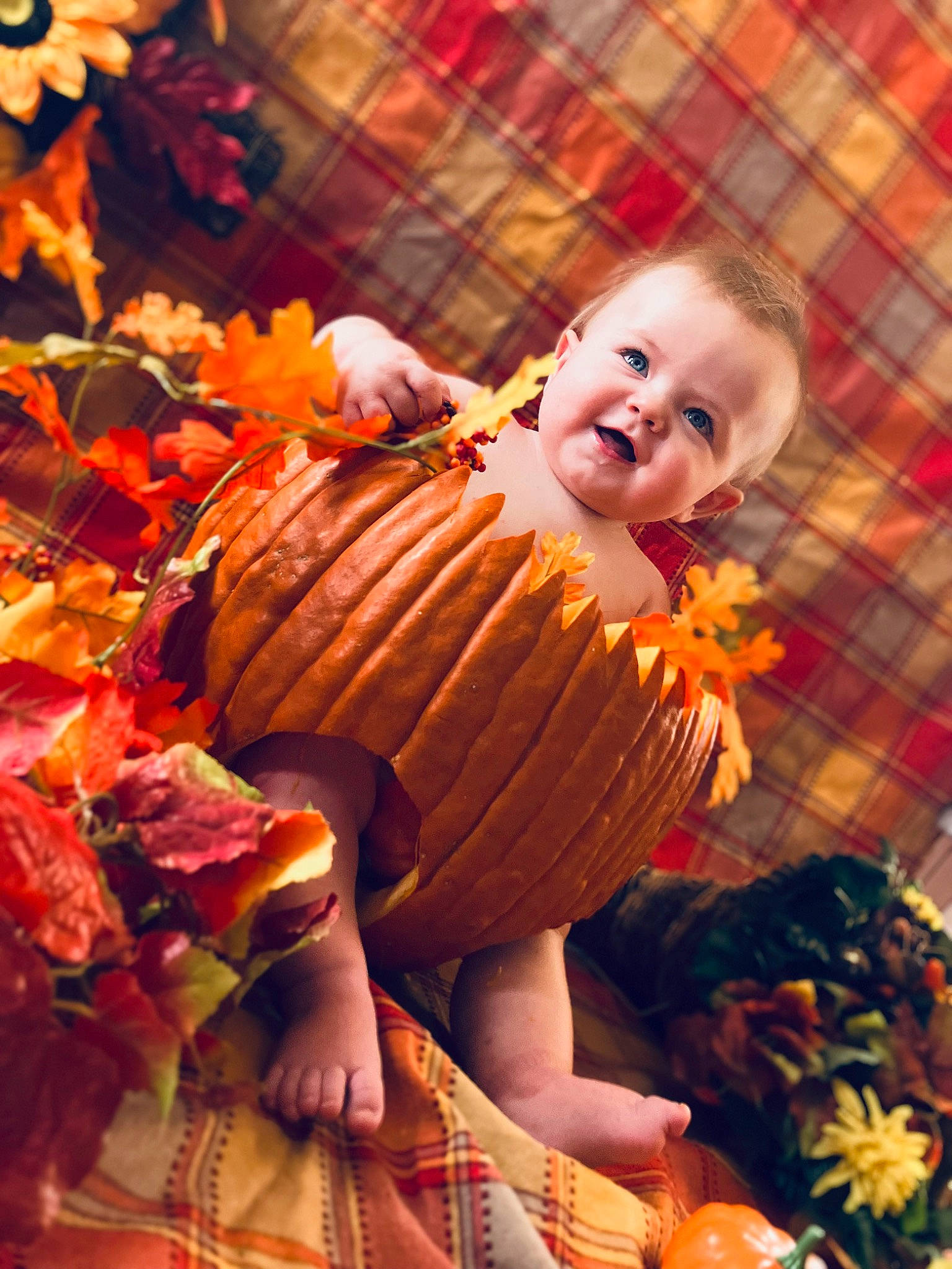 Brentley joined the competition — help win amazing prizes! baby, baby_toddler_clothing, child, event, eye, facial_expression, fun, happy, human_body, iris, orange, people_in_nature, person, plant, pumpkin, smile, tartan, toddler, tree, vegetable
