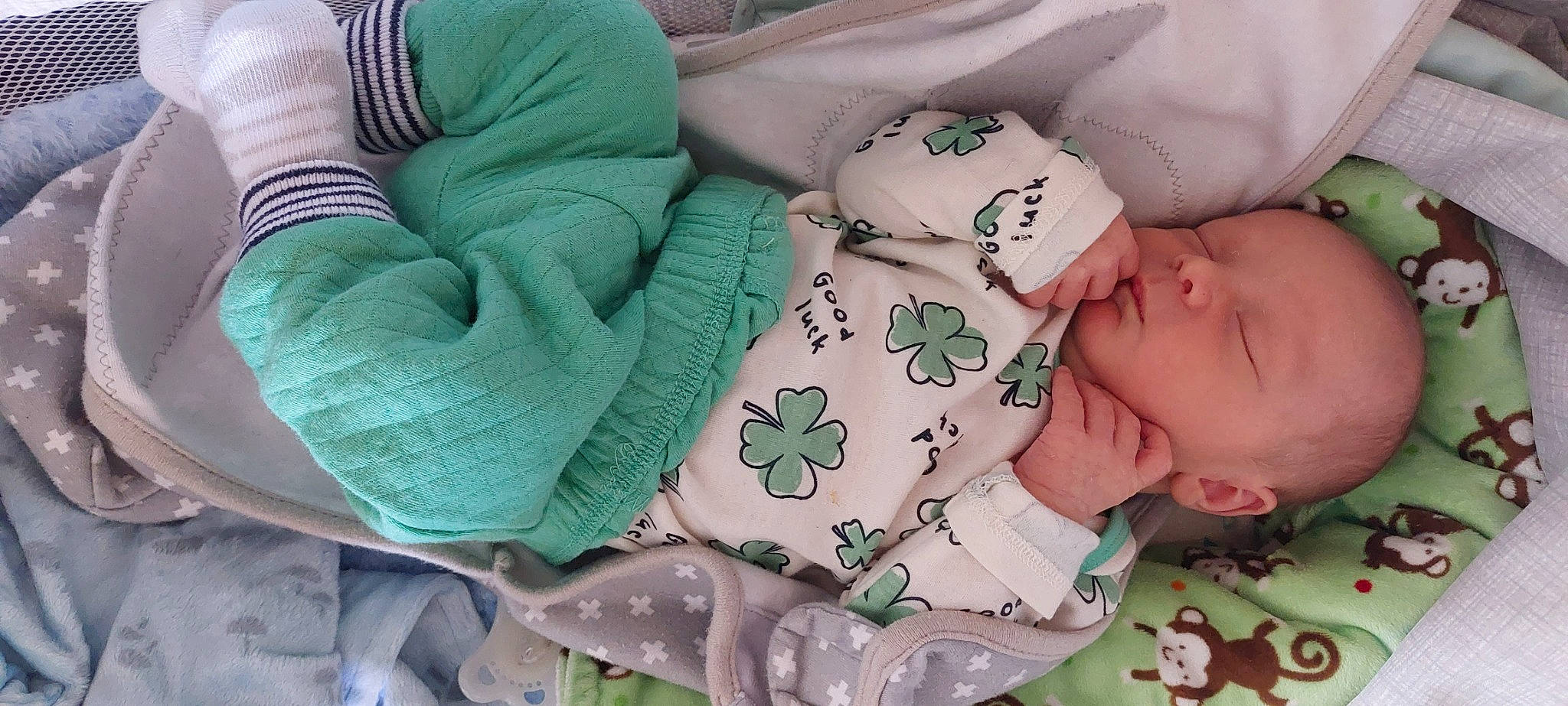 Michael is registered to the contest to win money with this photo: baby, baby_products, baby_sleeping, baby_toddler_clothing, cheek, child, comfort, green, headgear, leaf, linens, mammal, pattern, person, product, room, skin, textile, toddler, vertebrate
