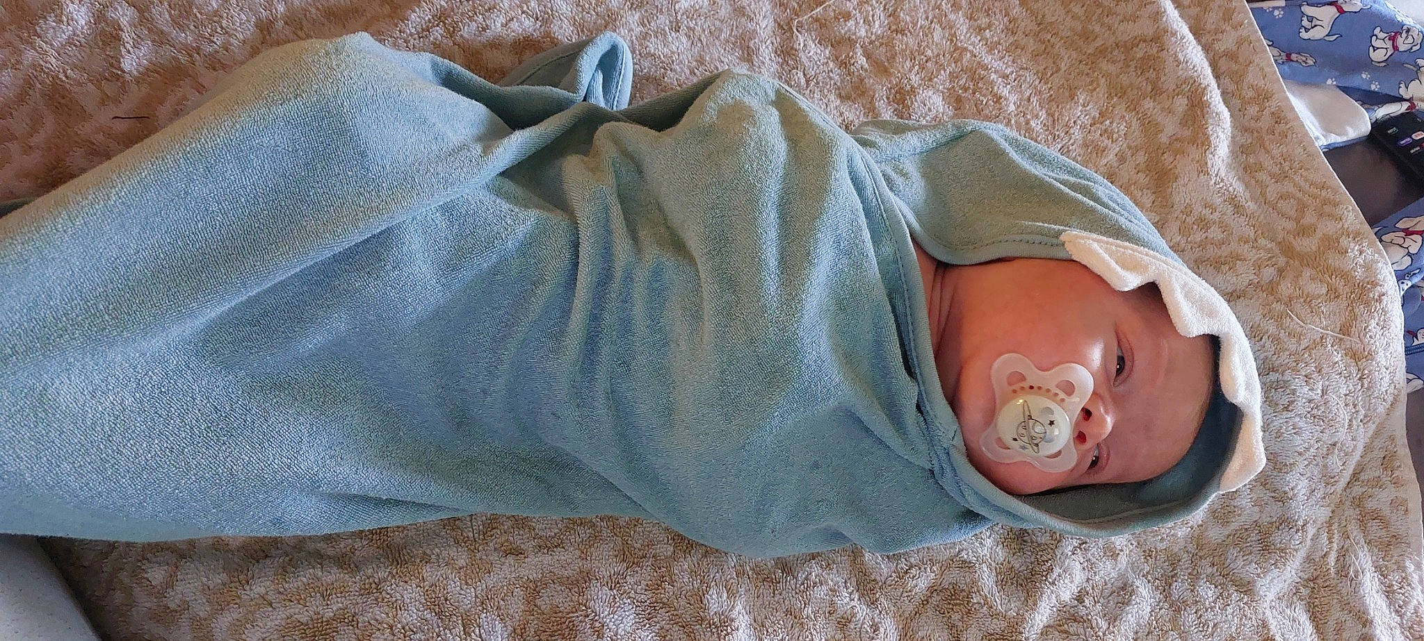 Michael is registered to the contest to win money with this photo: baby, baby_sleeping, baby_toddler_clothing, bedding, child, comfort, dress, fashion_accessory, foot, grass, hat, linens, pattern, peach, person, sand, textile, toddler, towel, tree