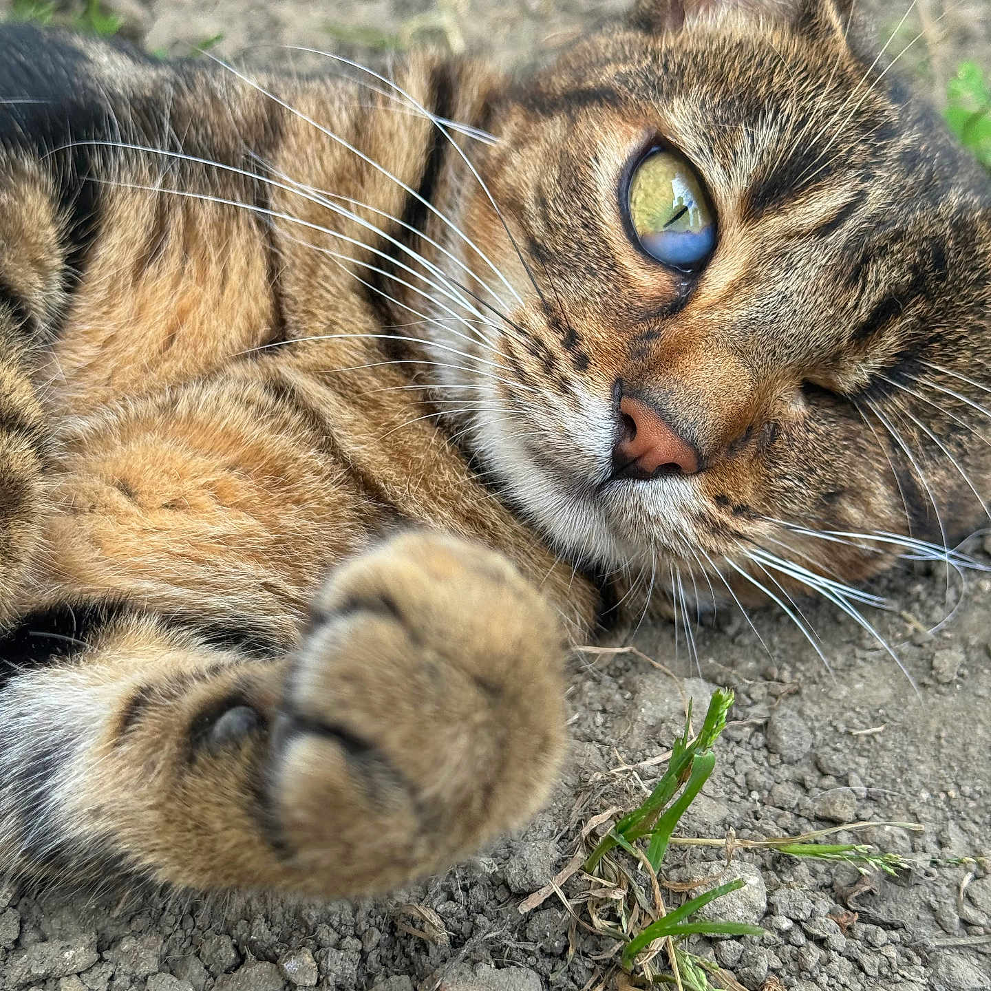 Milton
