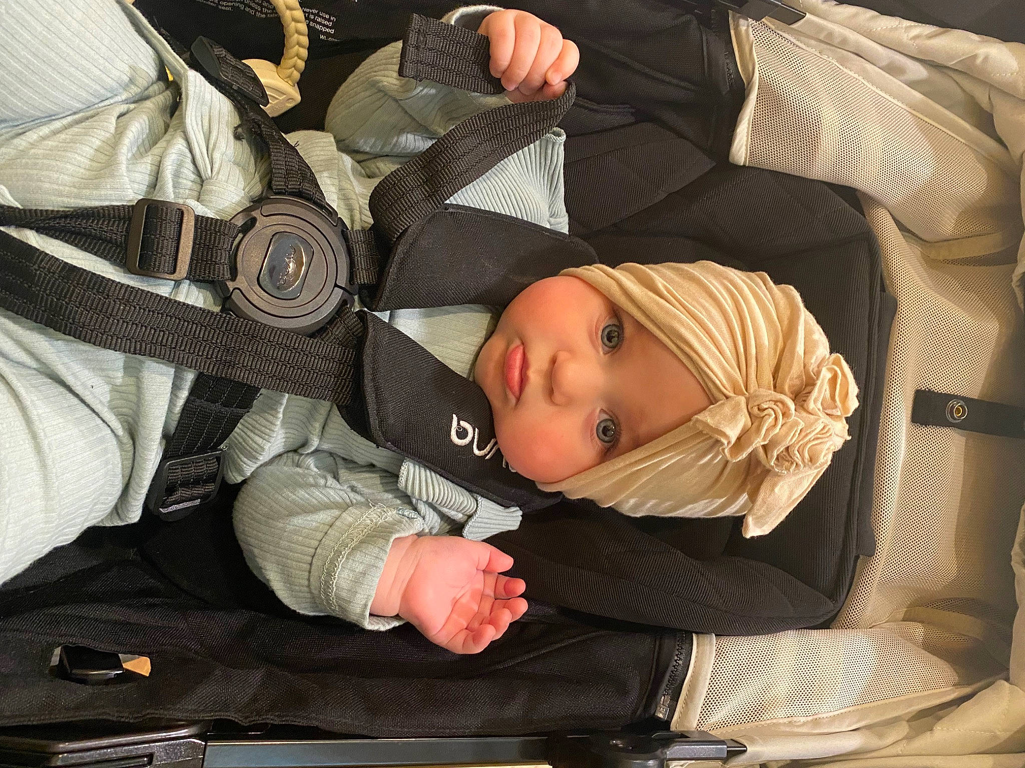 Indie is registered to the contest to win money with this photo: auto_part, baby, baby_carriage, baby_in_car_seat, baby_products, baby_toddler_clothing, car_seat, child, comfort, headwear, lap, luxury_vehicle, nap, pattern, person, seat_belt, sitting, sleep, toddler, tree