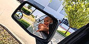 Remington joined the competition — help win amazing prizes! baby, child, car, side_mirror, reflection, smile, window, tree, leaves, outdoor, parking_lot, daylight, vehicle, happy, person, nature, road, curb, greenery, sunlight