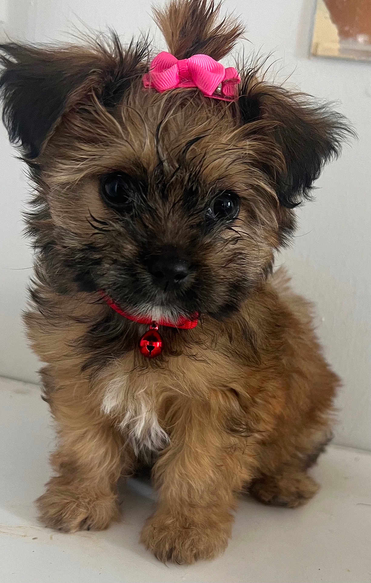 Bébé