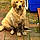 Charlie
