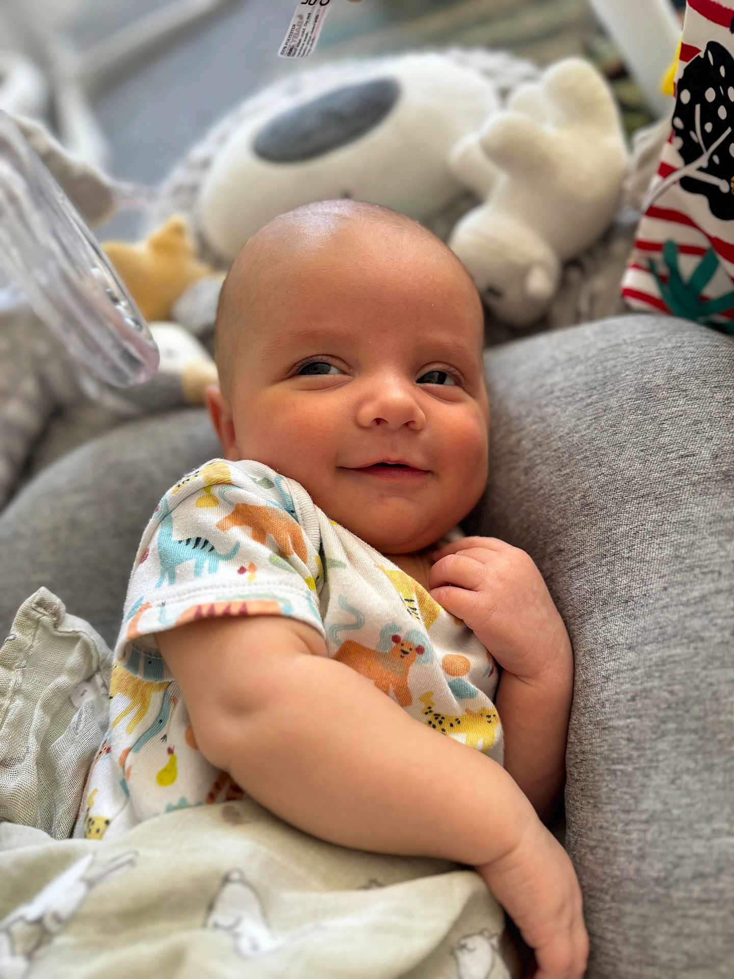 Luchi joined the competition — help win amazing prizes! baby, infant, smile, onesie, animal_print, blanket, plush_toy, cushion, soft_toys, closeup, indoors, child, cute, relaxed, portrait, baby_clothing, happy, person, young_child, cozy