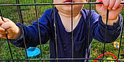 Seth joined the competition — help win amazing prizes! baby, child, onesie, playpen, fence, outdoor, grass, toy, curious, standing, yard, metal, blue_clothing, infant, hands, face, expression, daylight, nature, background