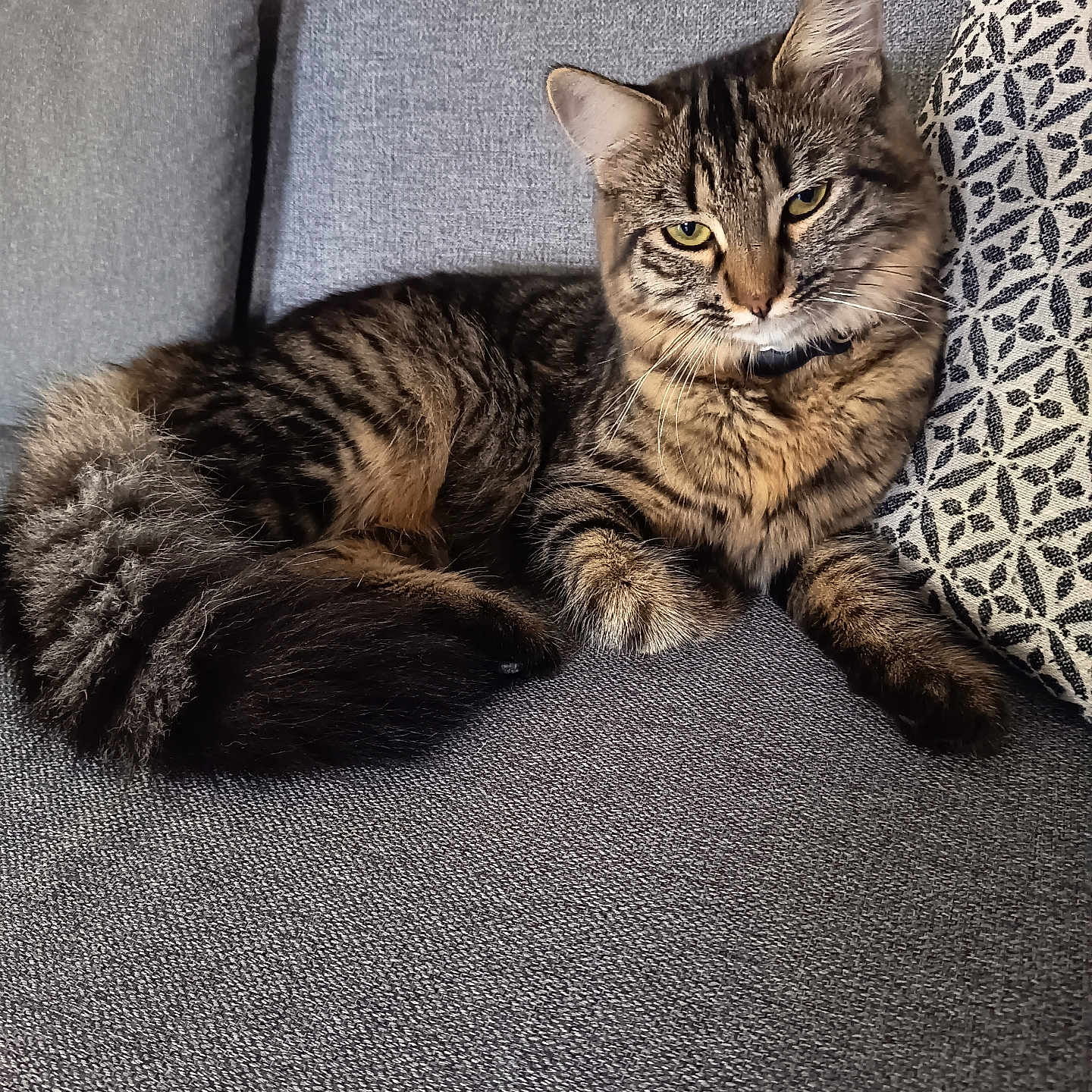 Bella