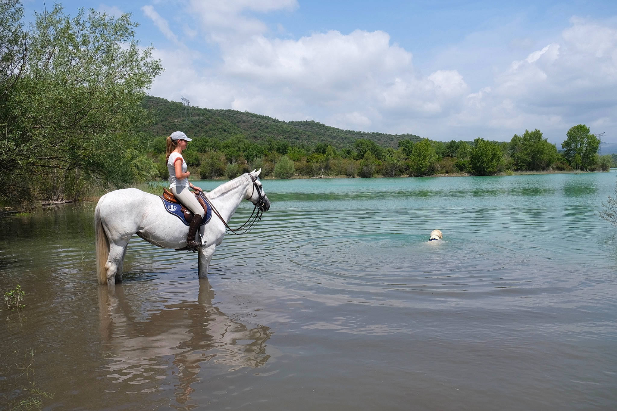 Shou a rejoint le concours — aidez-le/la à gagner de superbes lots ! animal_sports, bank, bridle, competitive_trail_riding, equestrian_sport, equestrianism, equitation, horse, mane, mare, outdoor_recreation, recreation, rein, river, saddle, sports, stallion, trail_riding, working_animal