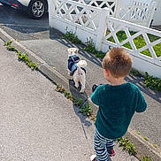 Chipie a rejoint le concours — aidez-le/la à gagner de superbes lots ! child, dog, walking, leash, street, sidewalk, fence, car, sunny, outdoor, clothing, pet, young_child, casual, daytime, pavement, greenery, footwear, small_dog, jacket