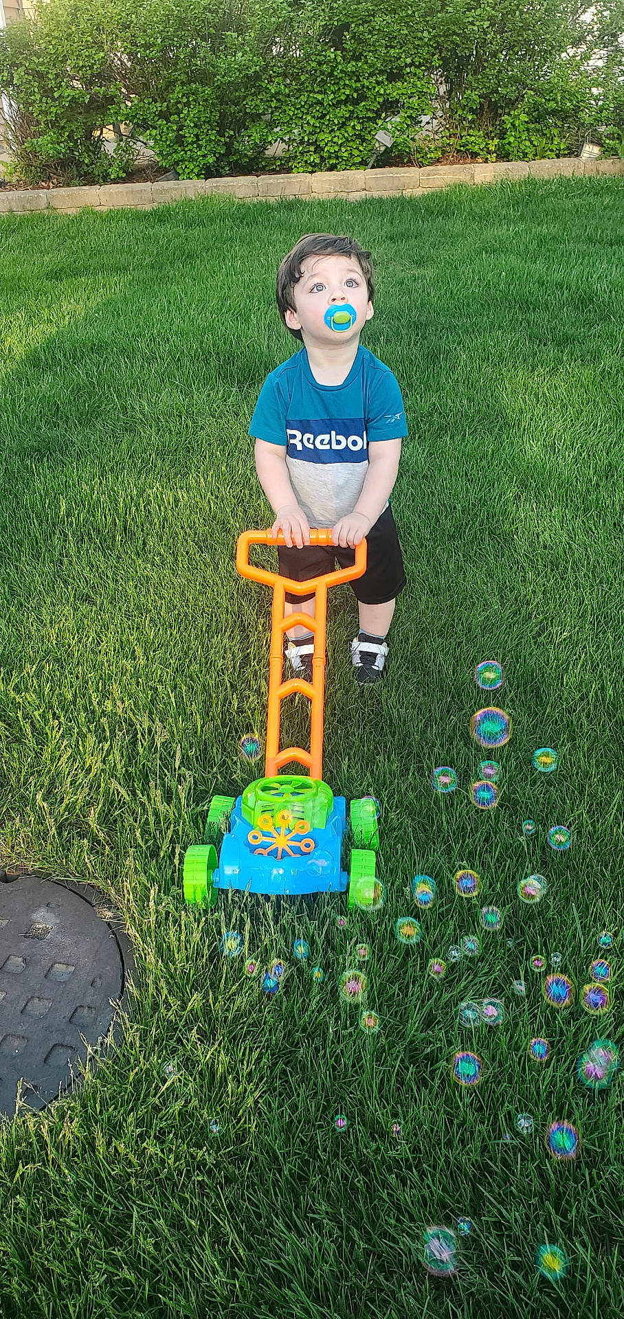 Julian is registered to the contest to win money with this photo: backyard, boy, child, clothing, face, field, grass, head, lawn, male, nature, outdoors, park, person, photography, plant, portrait, t_shirt, tree, yard