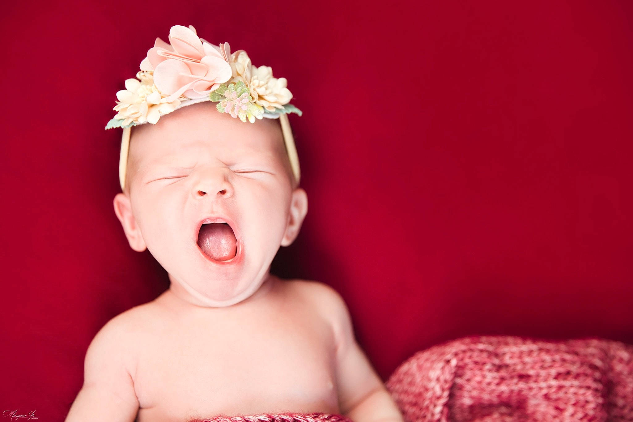 Gabriela participe au concours pour gagner de l'argent avec cette photo : baby, baby_toddler_clothing, cheek, chin, ear, eyelash, flash_photography, flower, happy, head, headgear, headpiece, human_body, lip, nose, person, pink, plant, skin, smile
