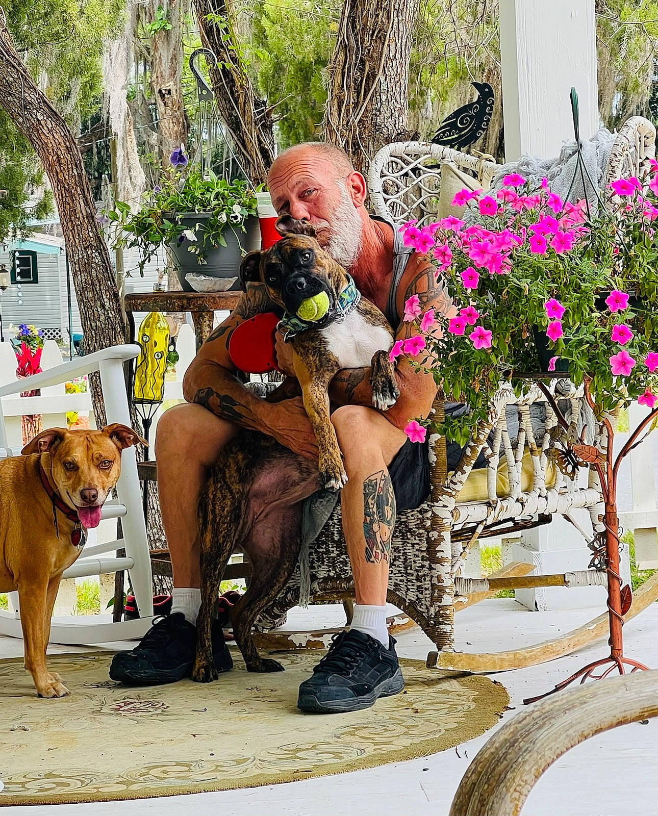 Bella is registered to the contest to win money with this photo: carnivore, companion_dog, dog, event, eyewear, fawn, flower, fun, human_leg, leisure, plant, sandal, shorts, sitting, sneakers, summer, sunglasses, thigh, tree, working_animal