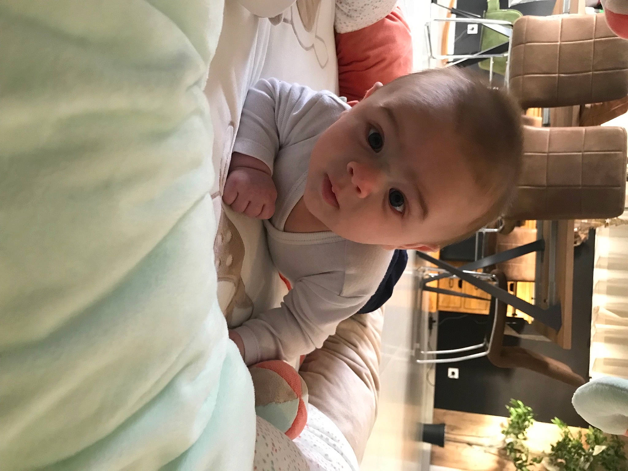 Juliàn participe au concours pour gagner de l'argent avec cette photo : baby, baby_products, baby_toddler_clothing, child, comfort, dress, eye, fun, grass, happy, hat, nose, person, plant, sitting, smile, suit, sunglasses, t_shirt, toddler