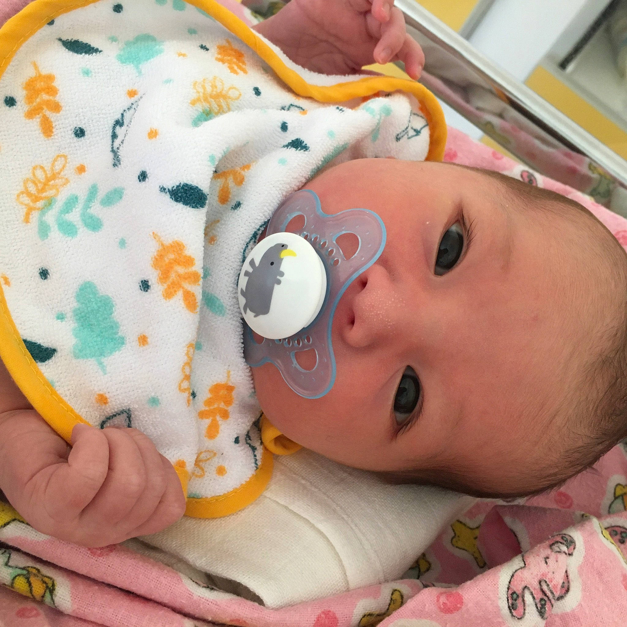 Melya participe au concours pour gagner de l'argent avec cette photo : baby, baby_products, bedtime, birth, cheek, child, person, product, toddler