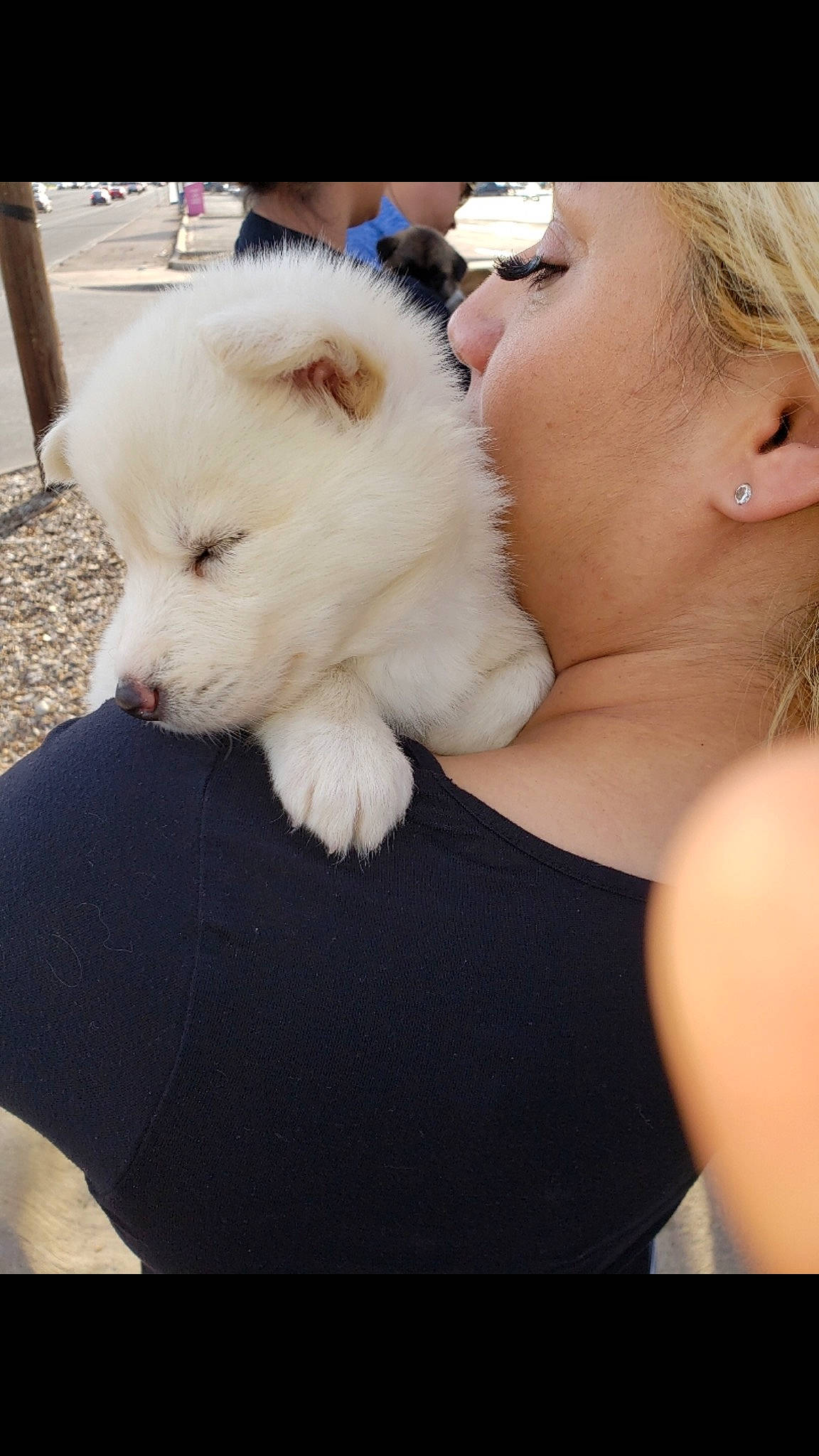 Riley is registered to the contest to win money with this photo: berger_blanc_suisse, canidae, carnivore, companion_dog, dog, dog_breed, german_spitz_mittel, japanese_spitz, kintamani, mammal, non_sporting_group, nose, pomeranian, puppy, puppy_love, samoyed, skin, spitz, vertebrate, volpino_italiano