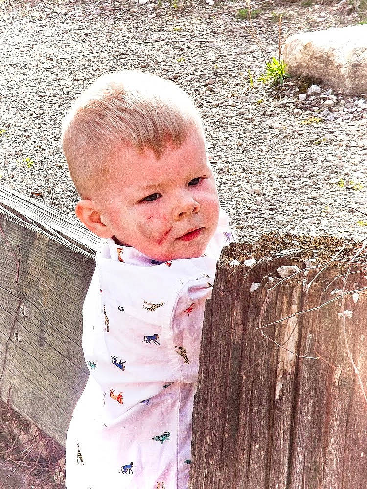 Camden is registered to the contest to win money with this photo: baby, baby_toddler_clothing, blond, cheek, chin, eye, grass, grass_family, happy, iris, lip, people_in_nature, person, plant, sitting, skin, sleeve, toddler, tree, trunk