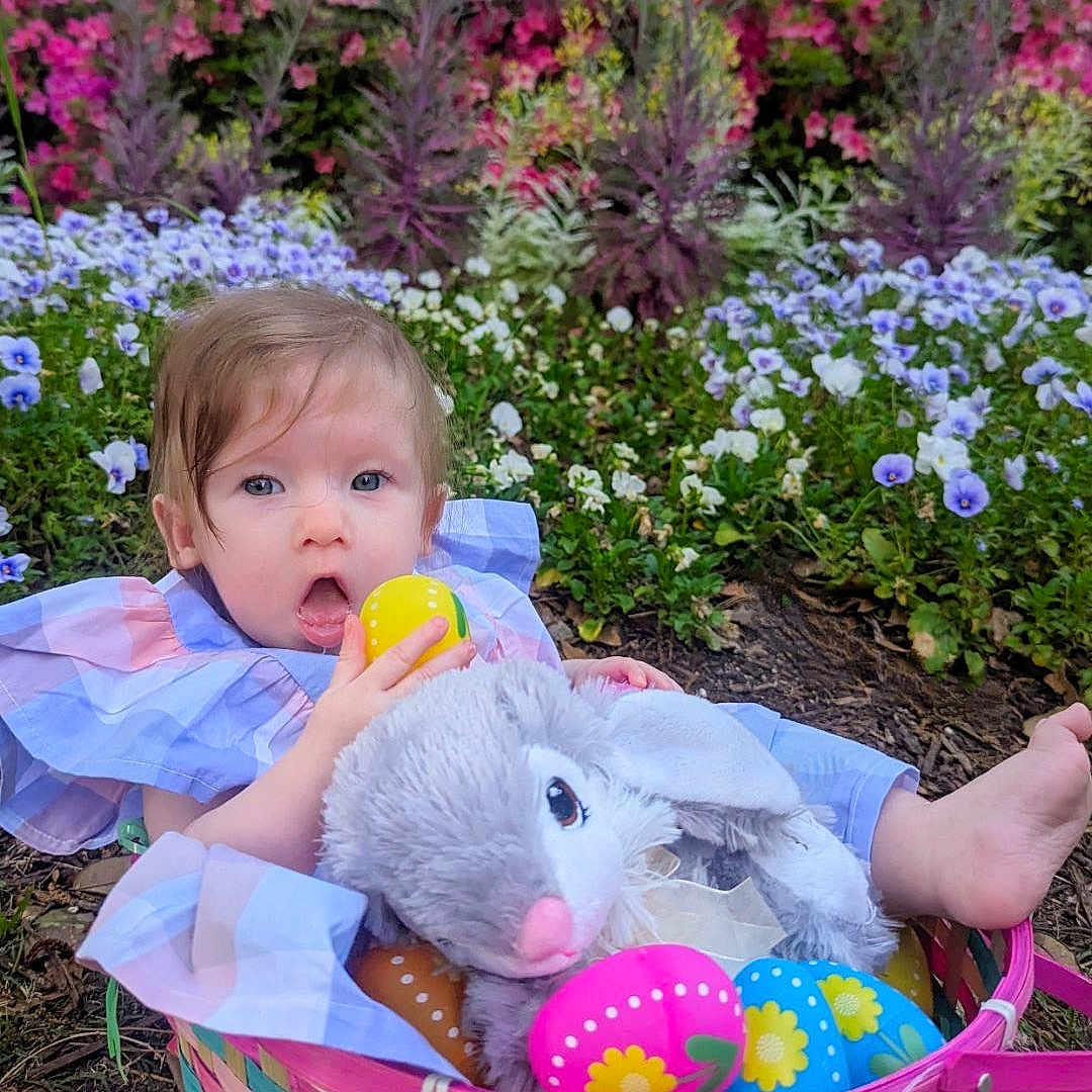 Raelynn is registered to the contest to win money with this photo: baby, basket, cream, daisy, dessert, face, flower, geranium, grass, head, herbal, herbs, person, petal, photography, plant, portrait, pottedplant, purple, vegetation