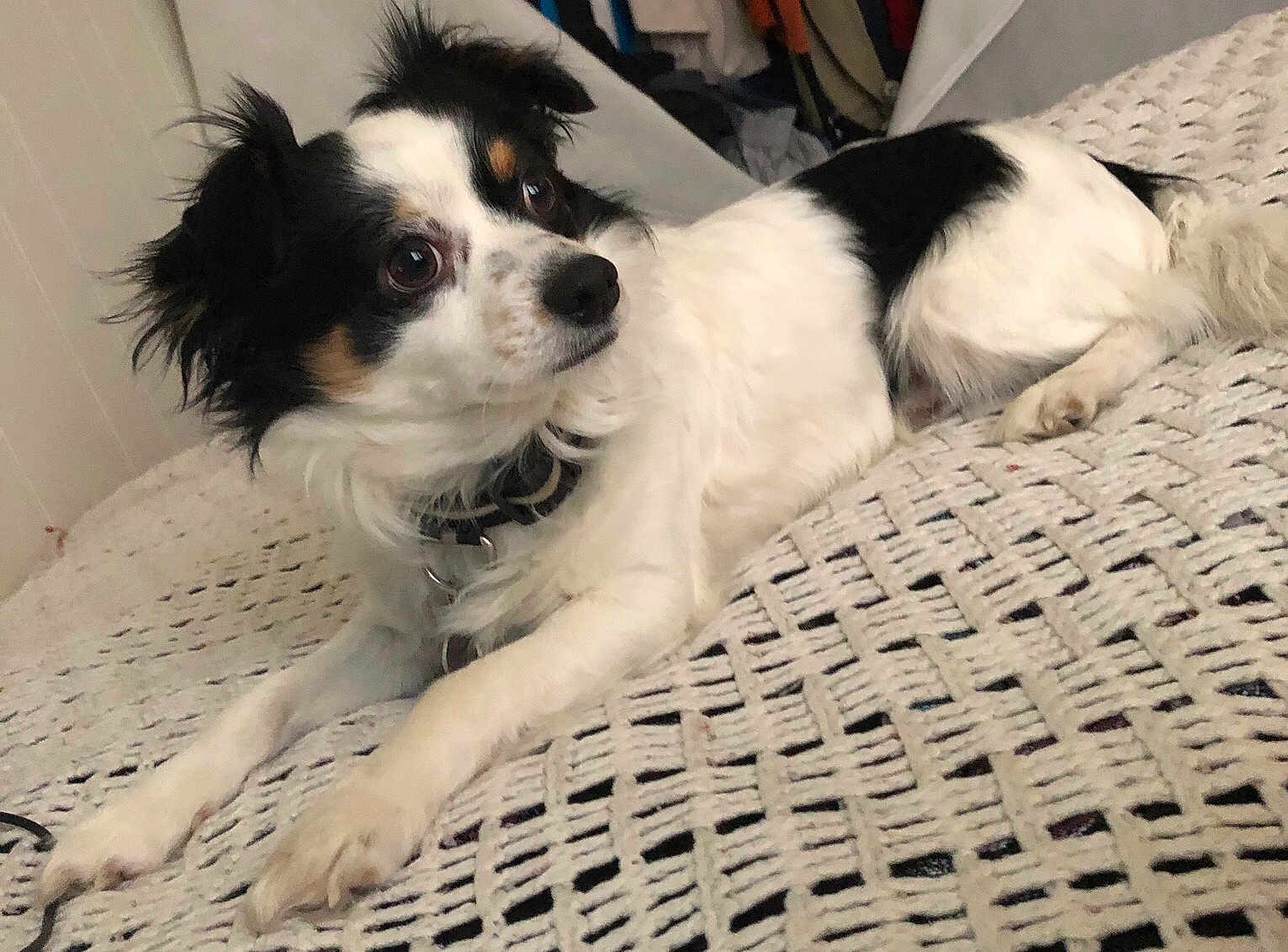 Charlie