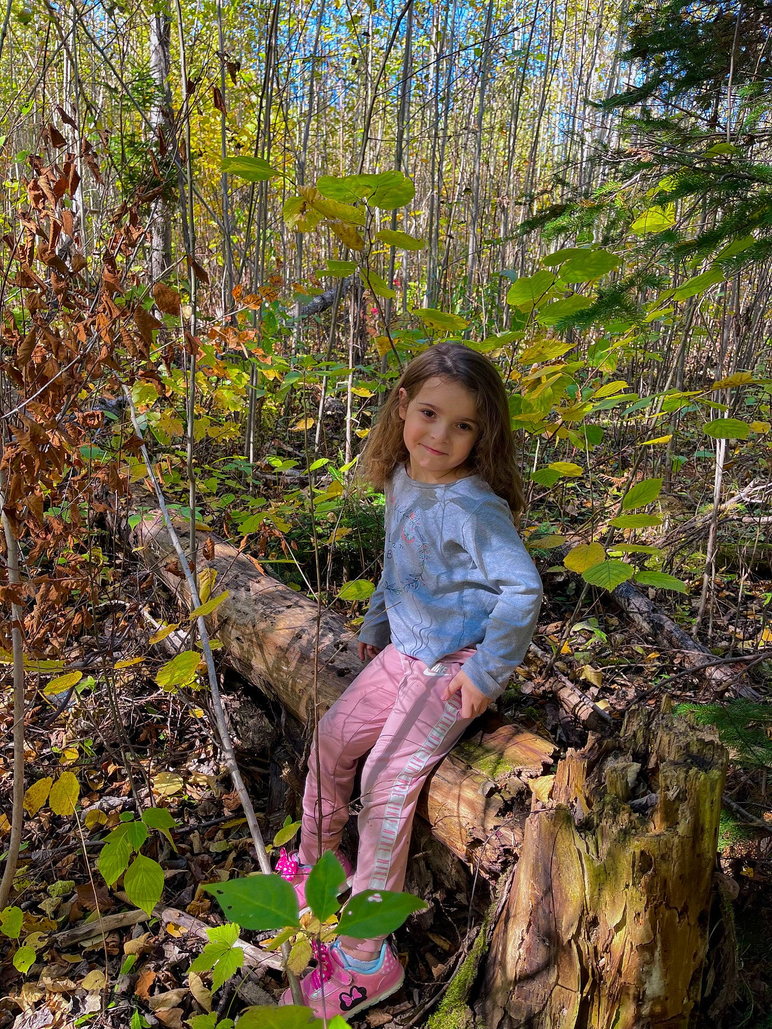 Mackiah joined the competition — help win amazing prizes! botany, branch, child, fawn, forest, grass, groundcover, joy, natural_landscape, people_in_nature, person, plant, plant_community, shrub, smile, soil, terrestrial_plant, trunk, twig, vegetation