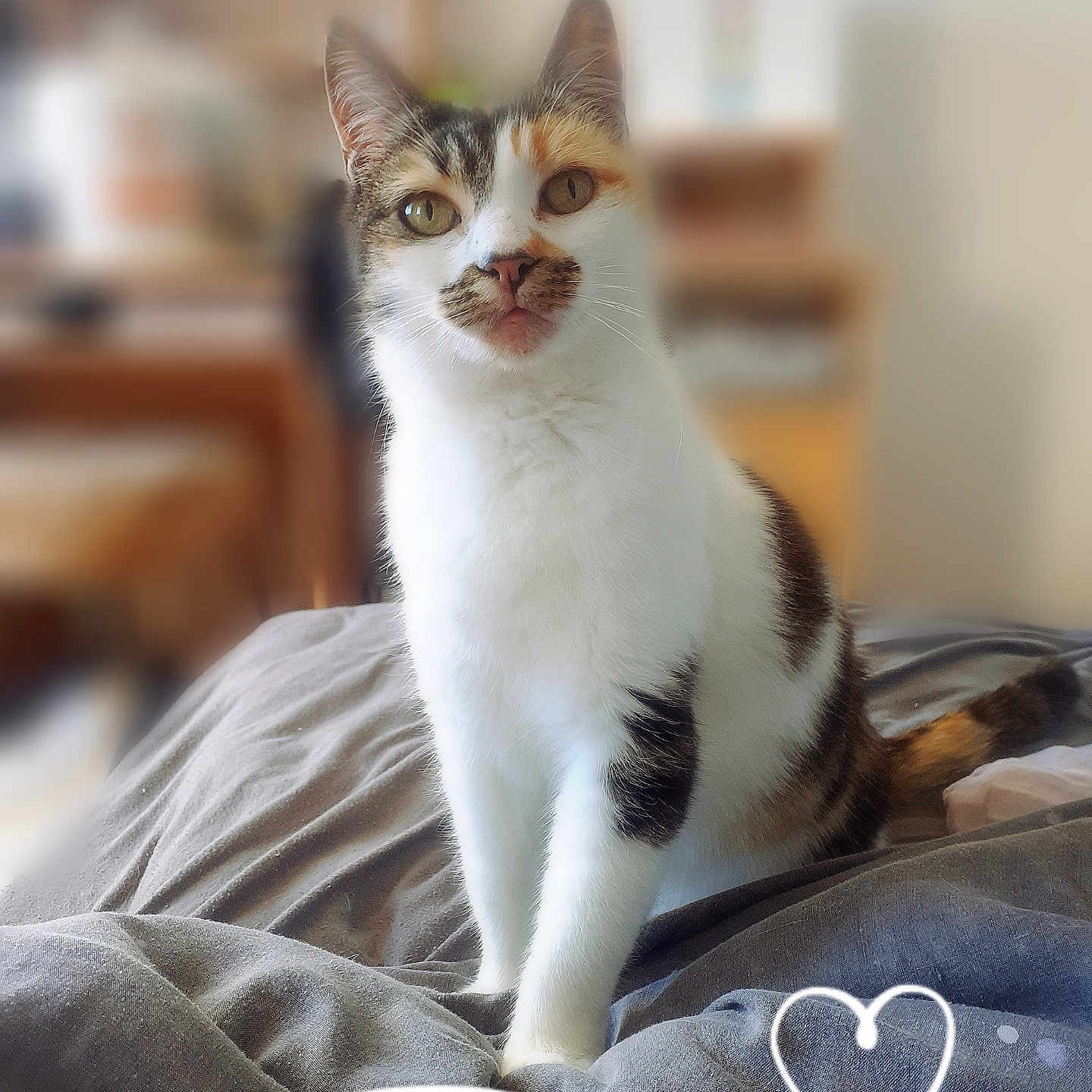 Cendrillon