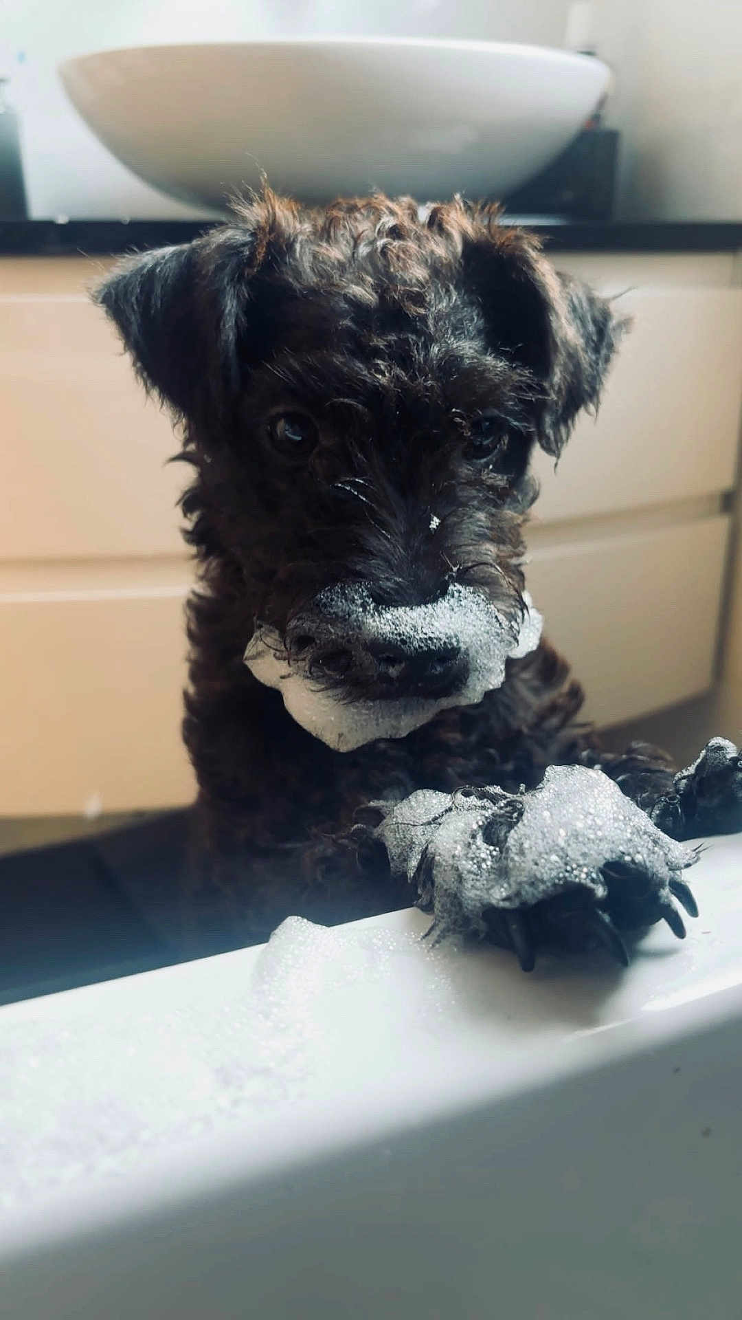 Coco